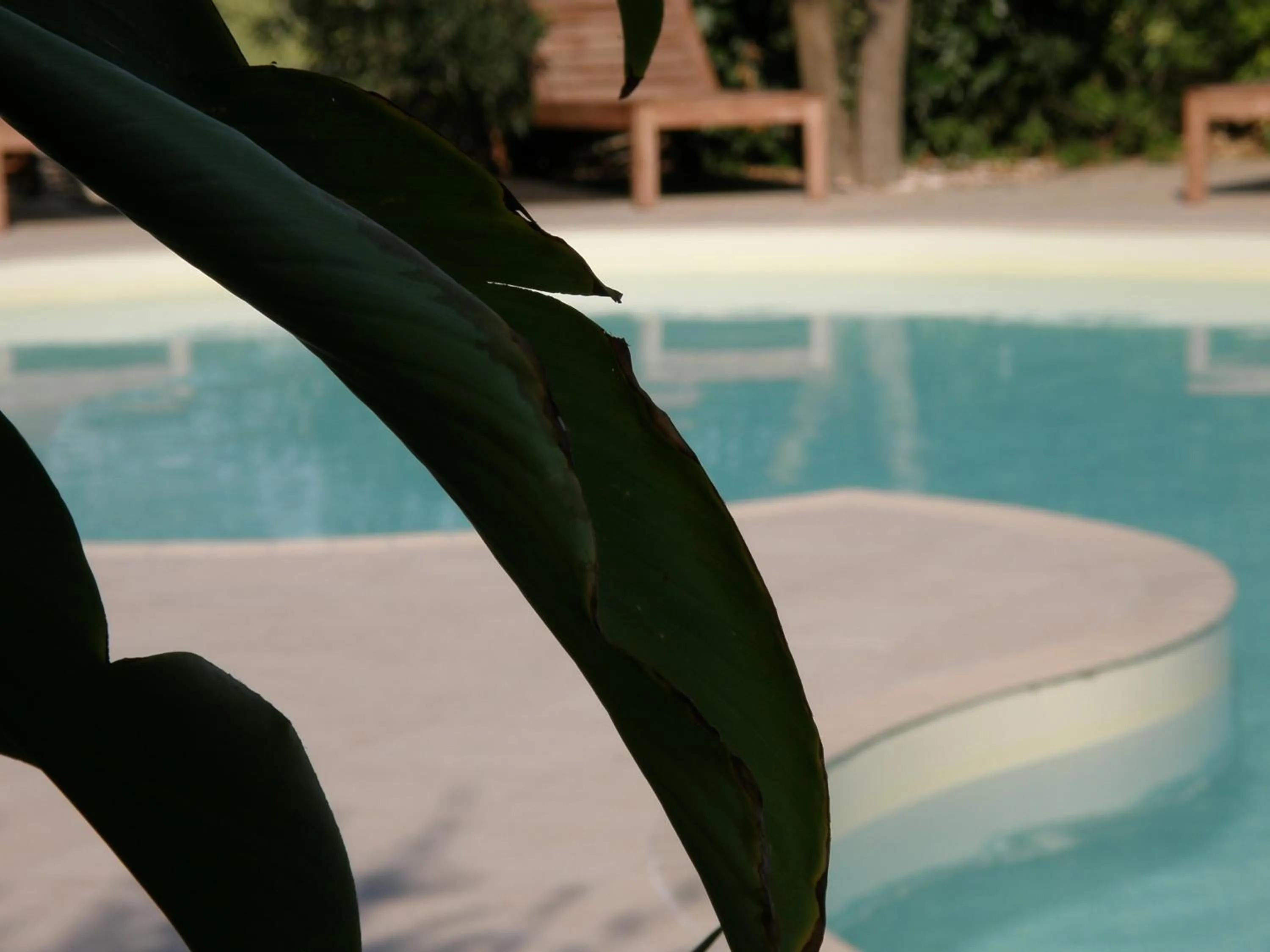 Swimming pool in El Patio Hotel