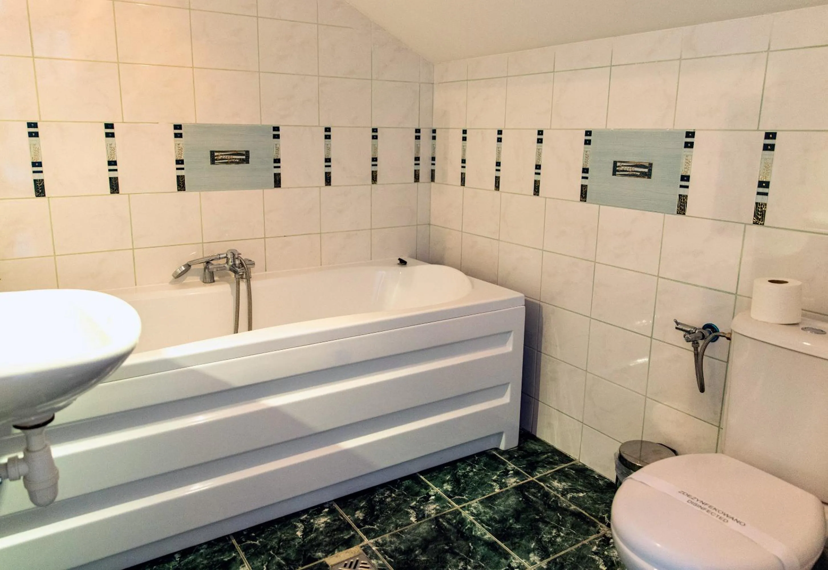 Toilet in Villa AdaMar - masaże & jacuzzi