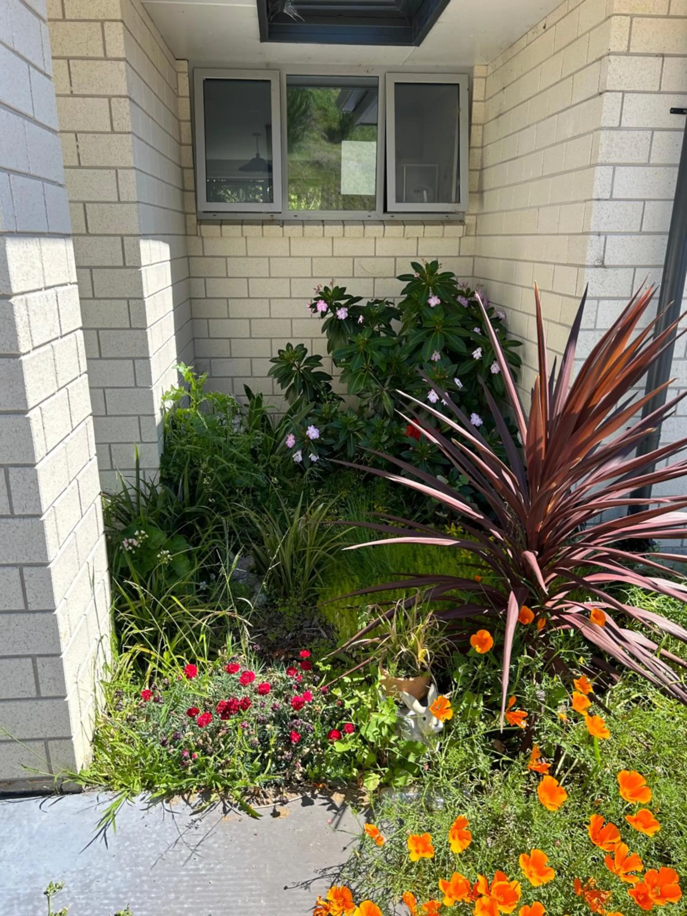 Spring in Almost Heaven BNB