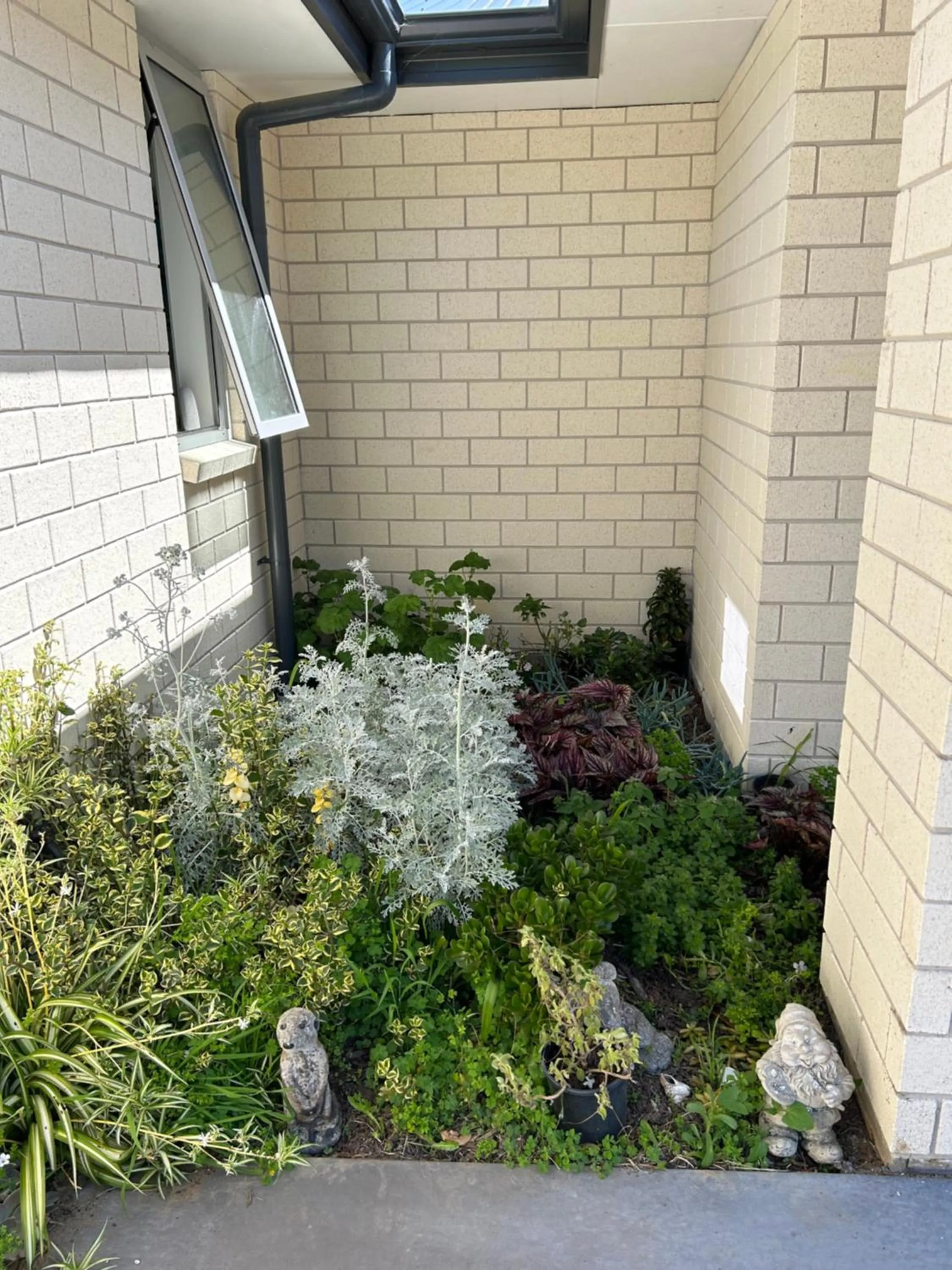 Spring in Almost Heaven BNB