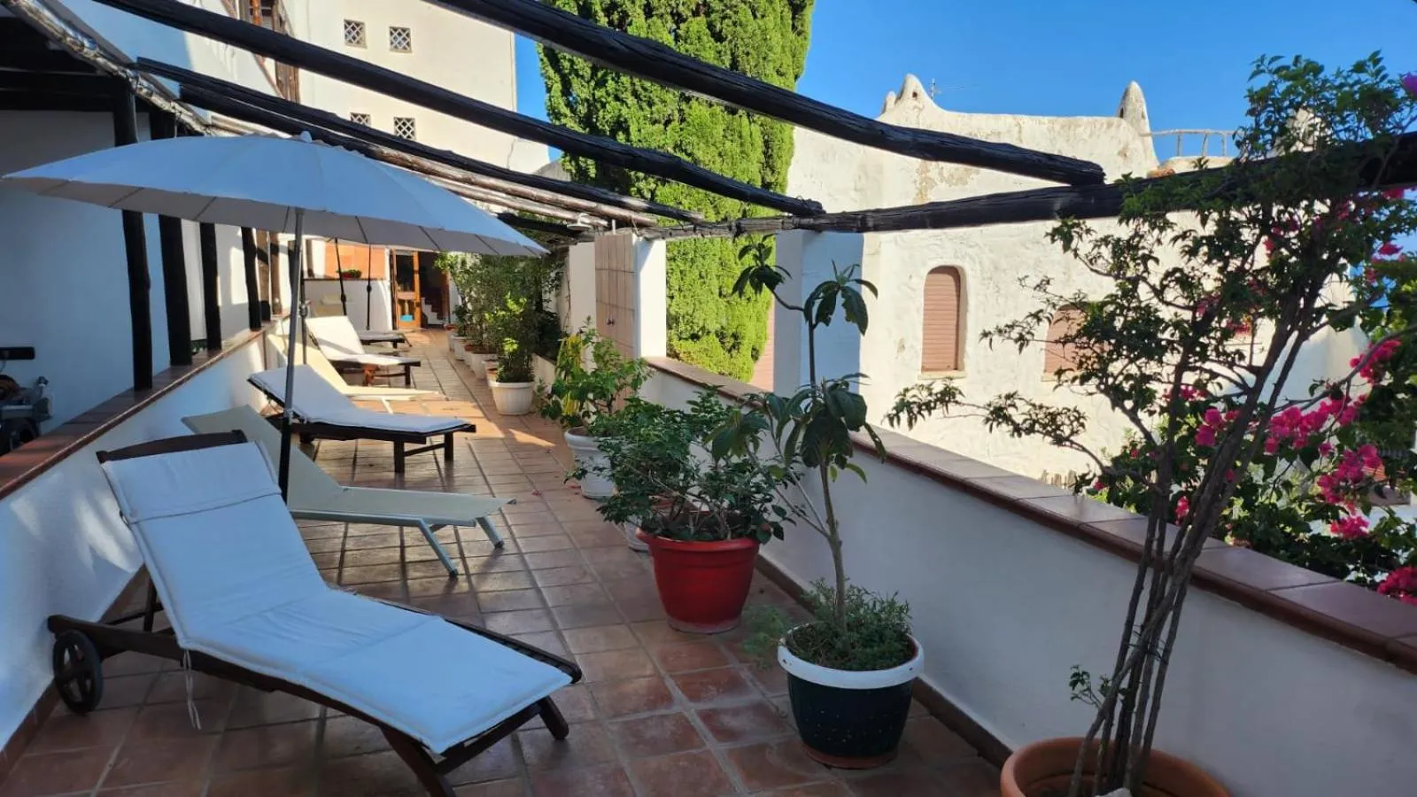 Balcony/Terrace in Hotel Pop