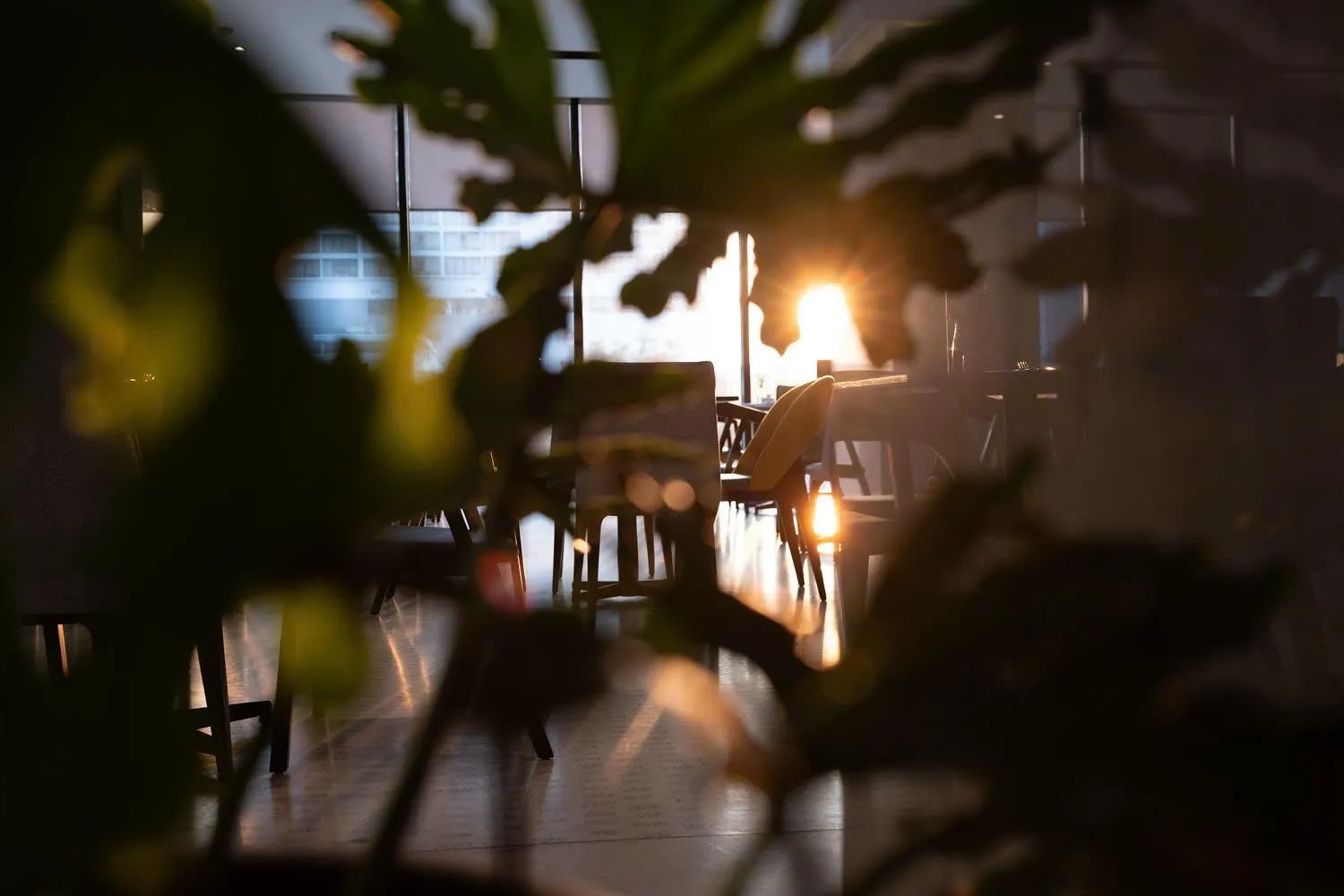 Restaurant/places to eat in December Hotel