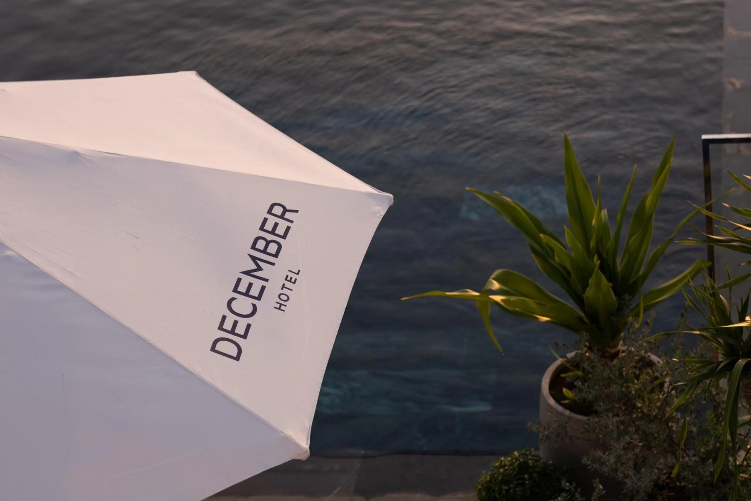 Swimming pool in December Hotel