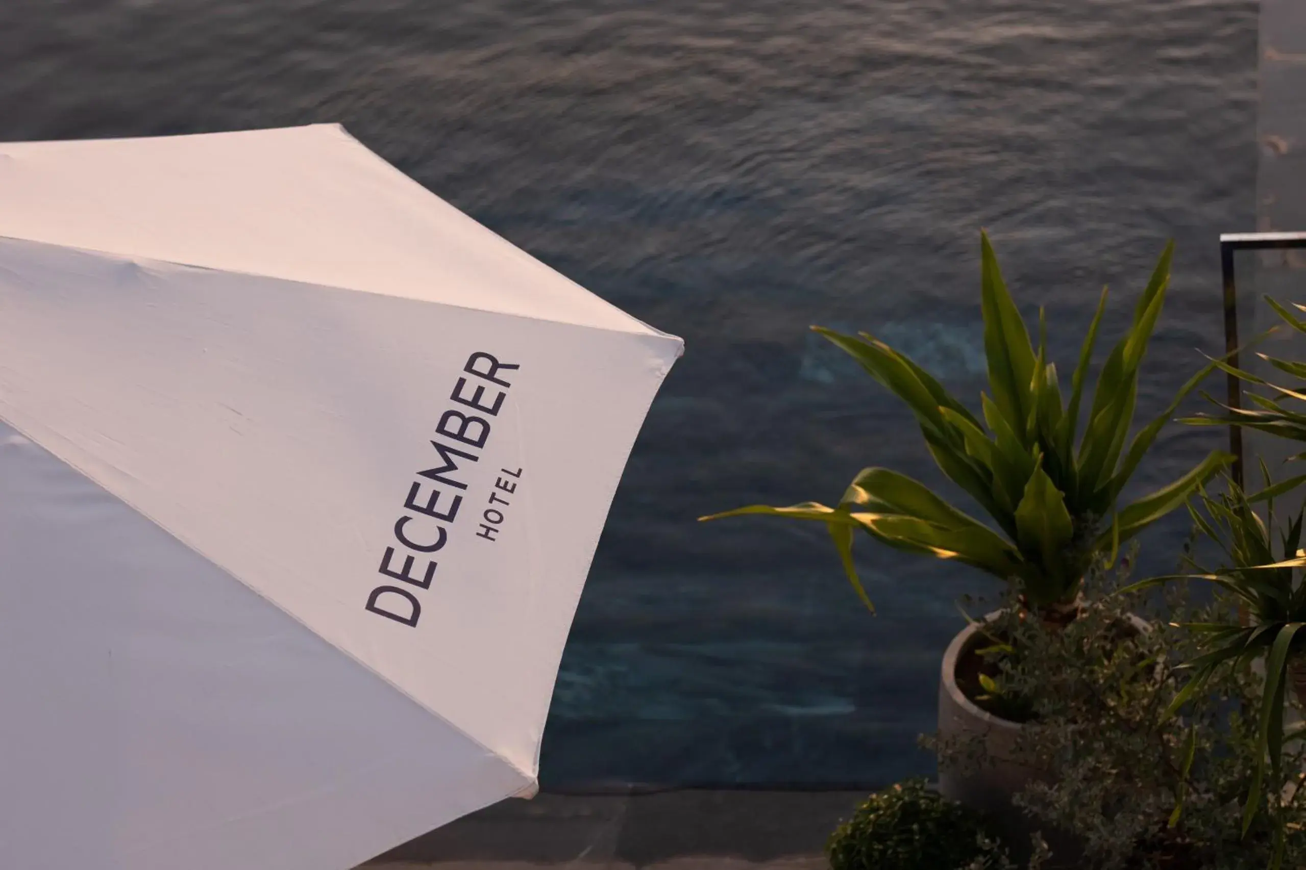 Swimming pool in December Hotel Swimming pool in December Hotel