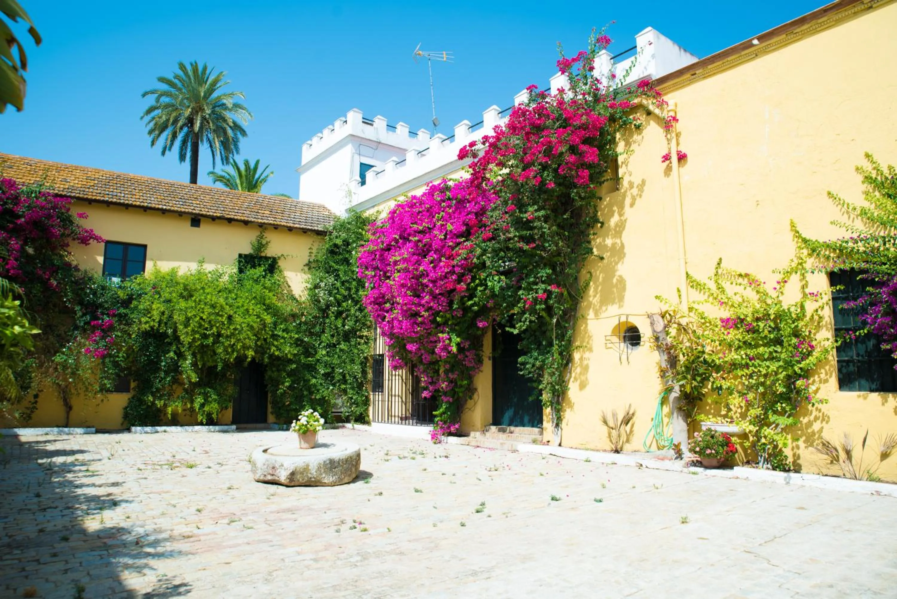 Patio in Hacienda La Indiana