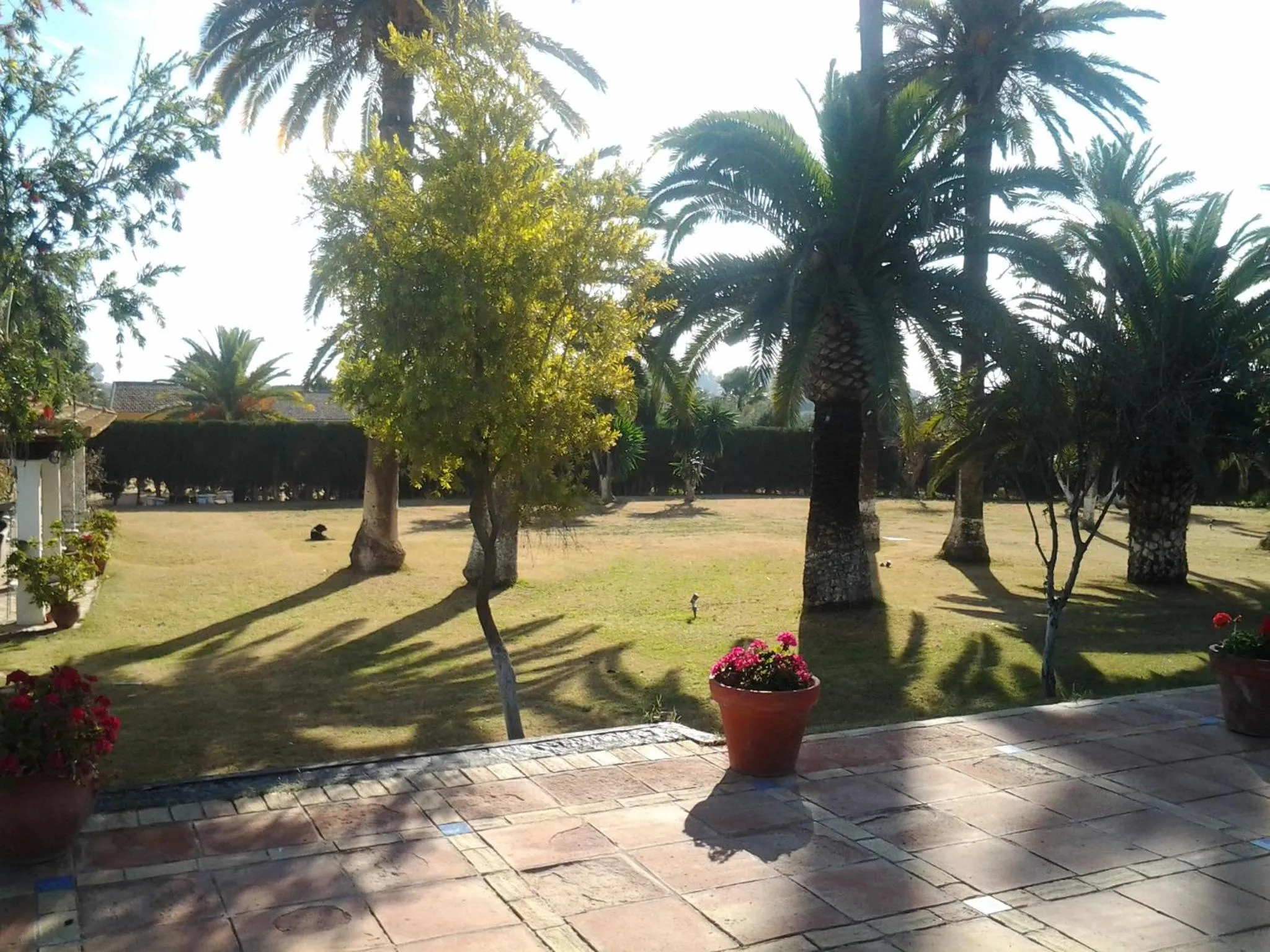 Garden in Hacienda La Indiana