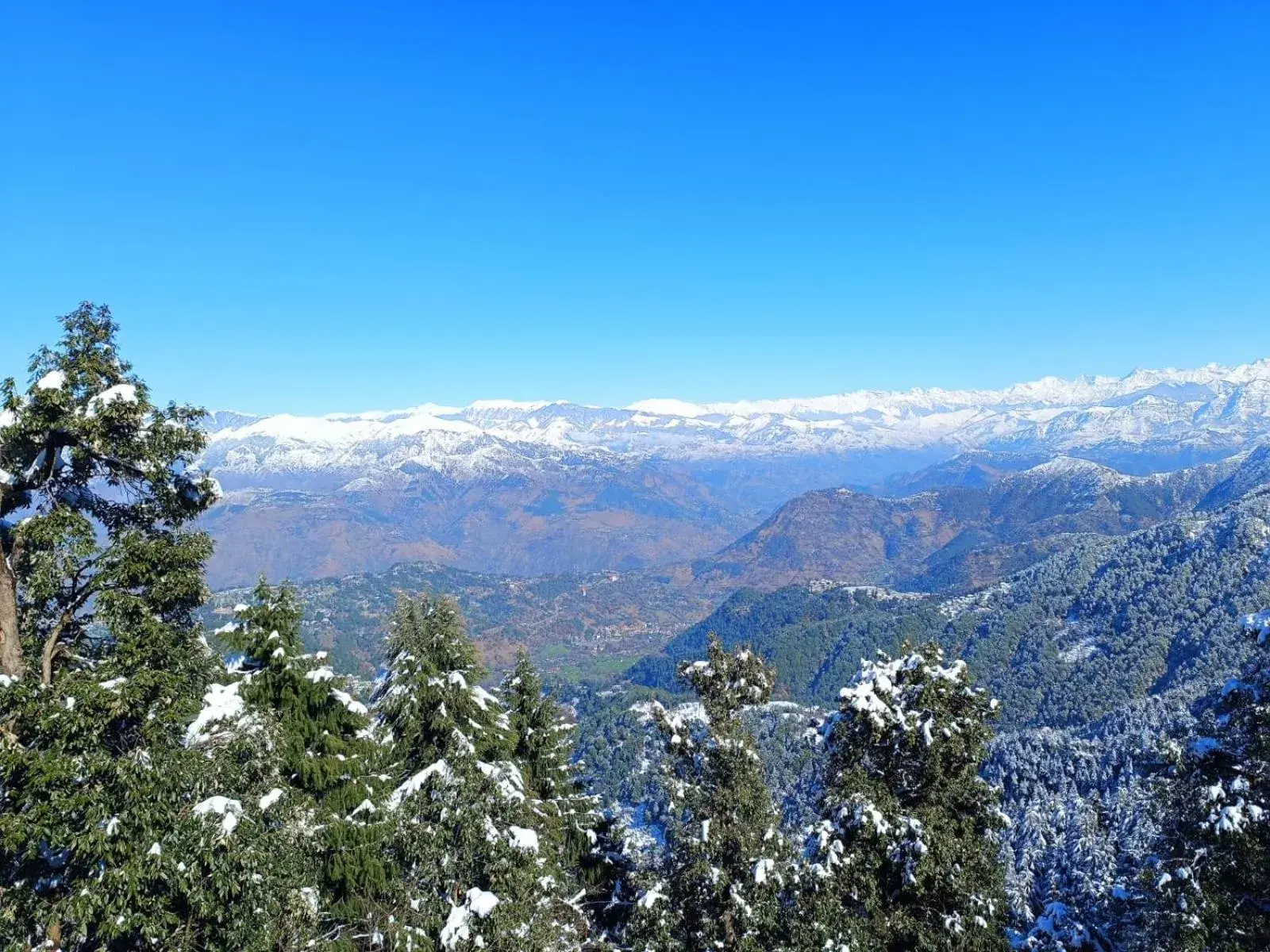 View (from property/room) in Surya Resort Dalhousie View (from property/room) in Surya Resort Dalhousie