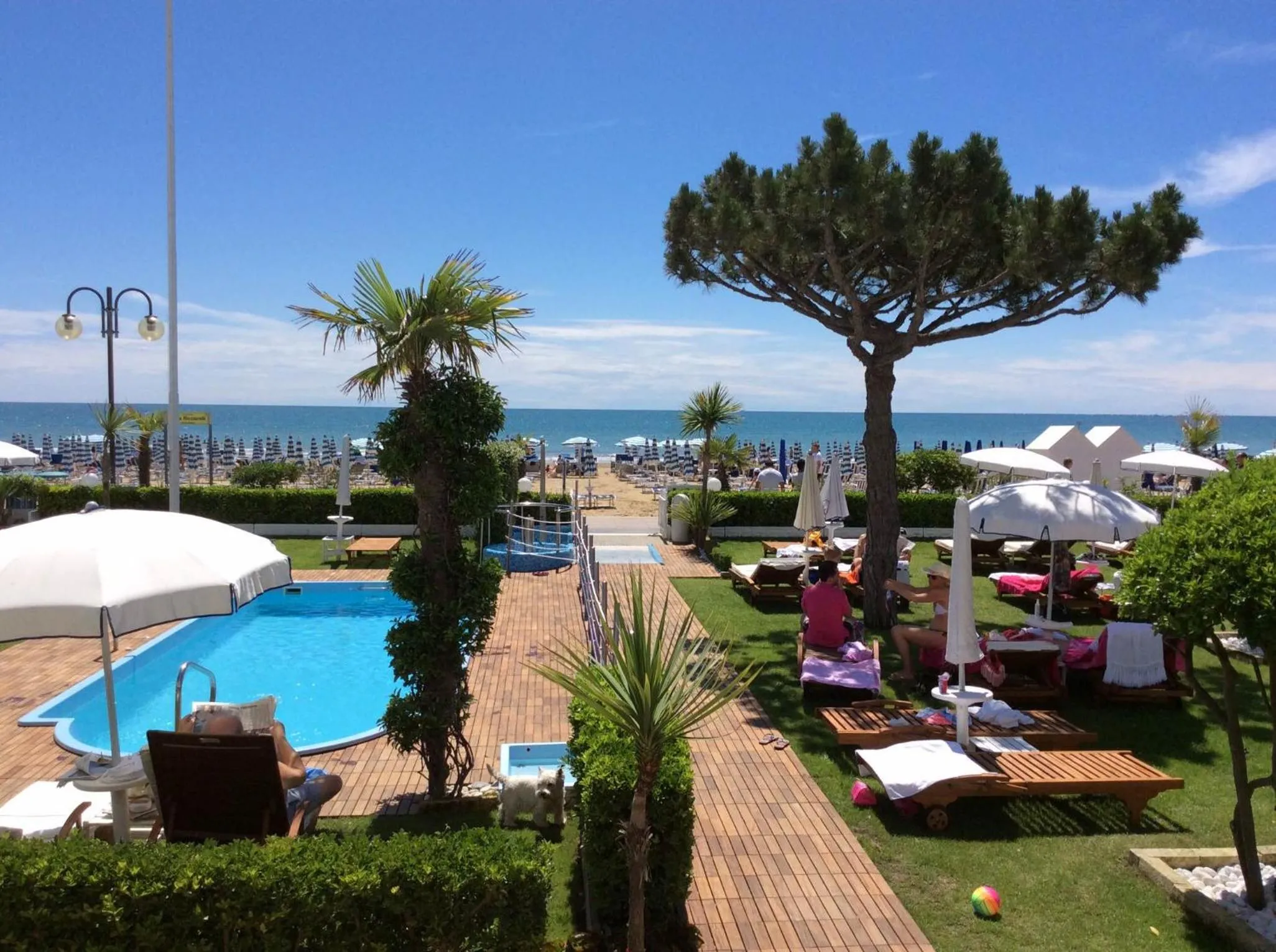 Garden in Hotel Universo