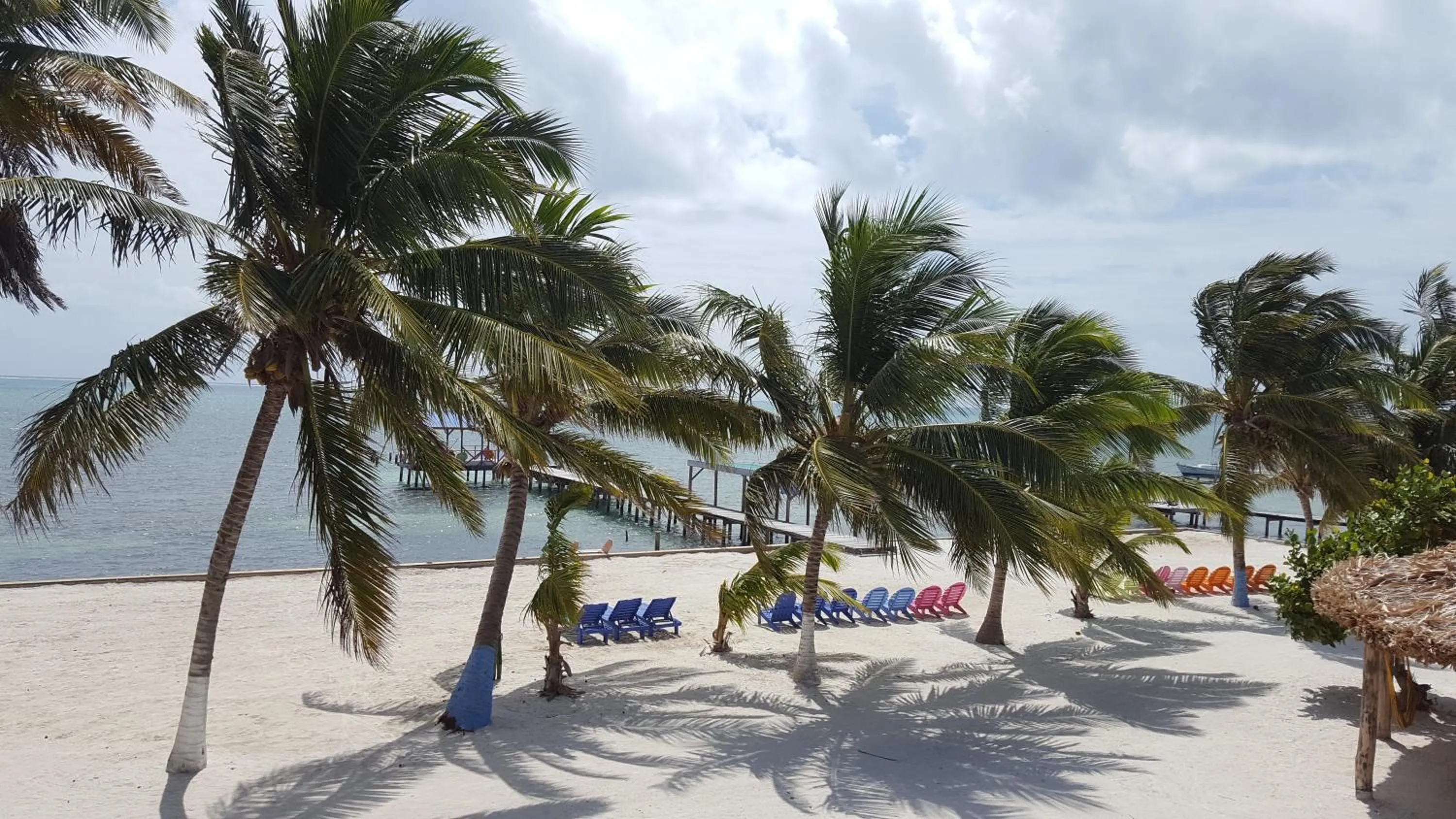 Beach in Anchorage Beach Resort Caye Caulker