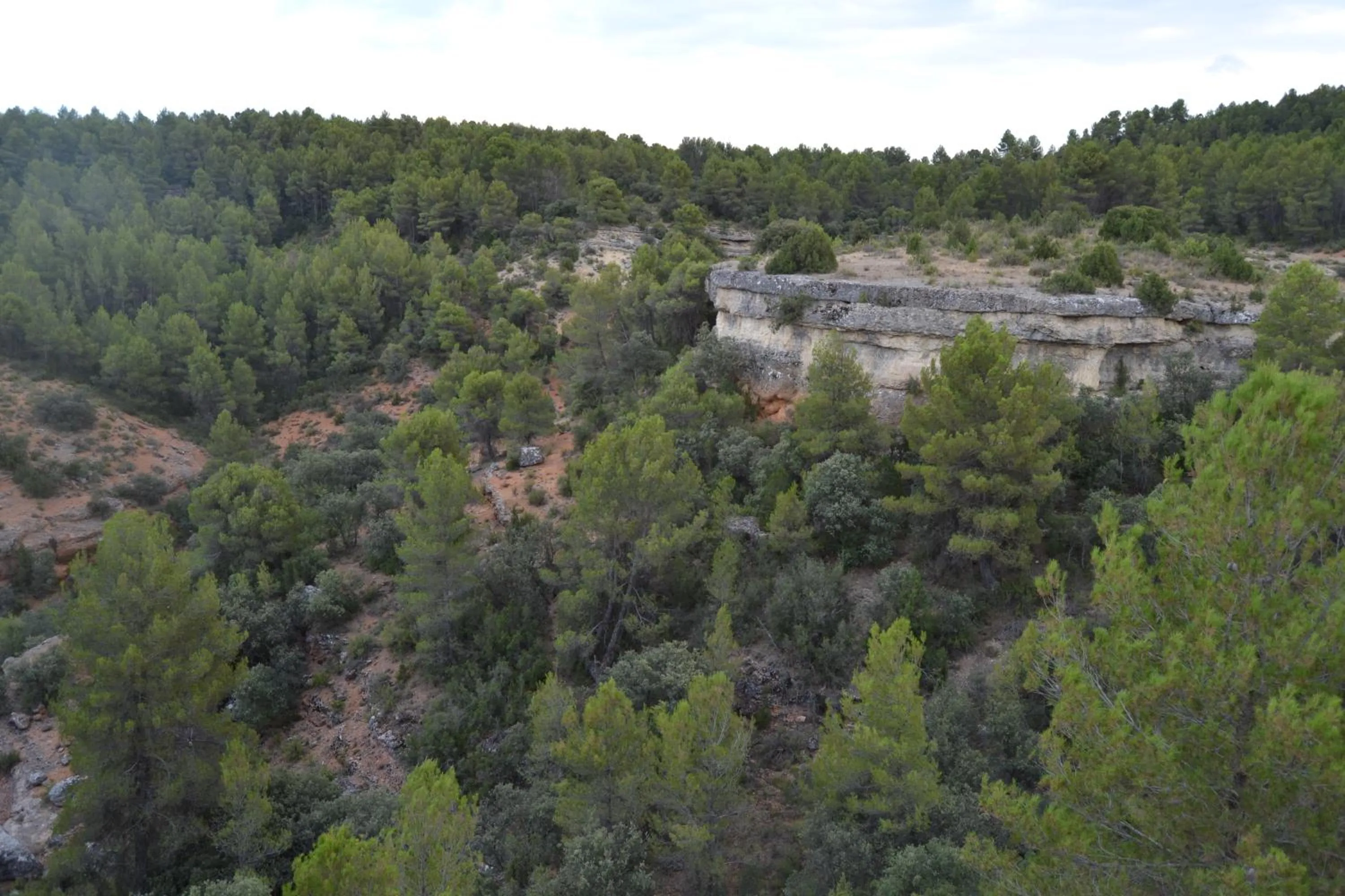 View (from property/room) in Las Casas de la Vega
