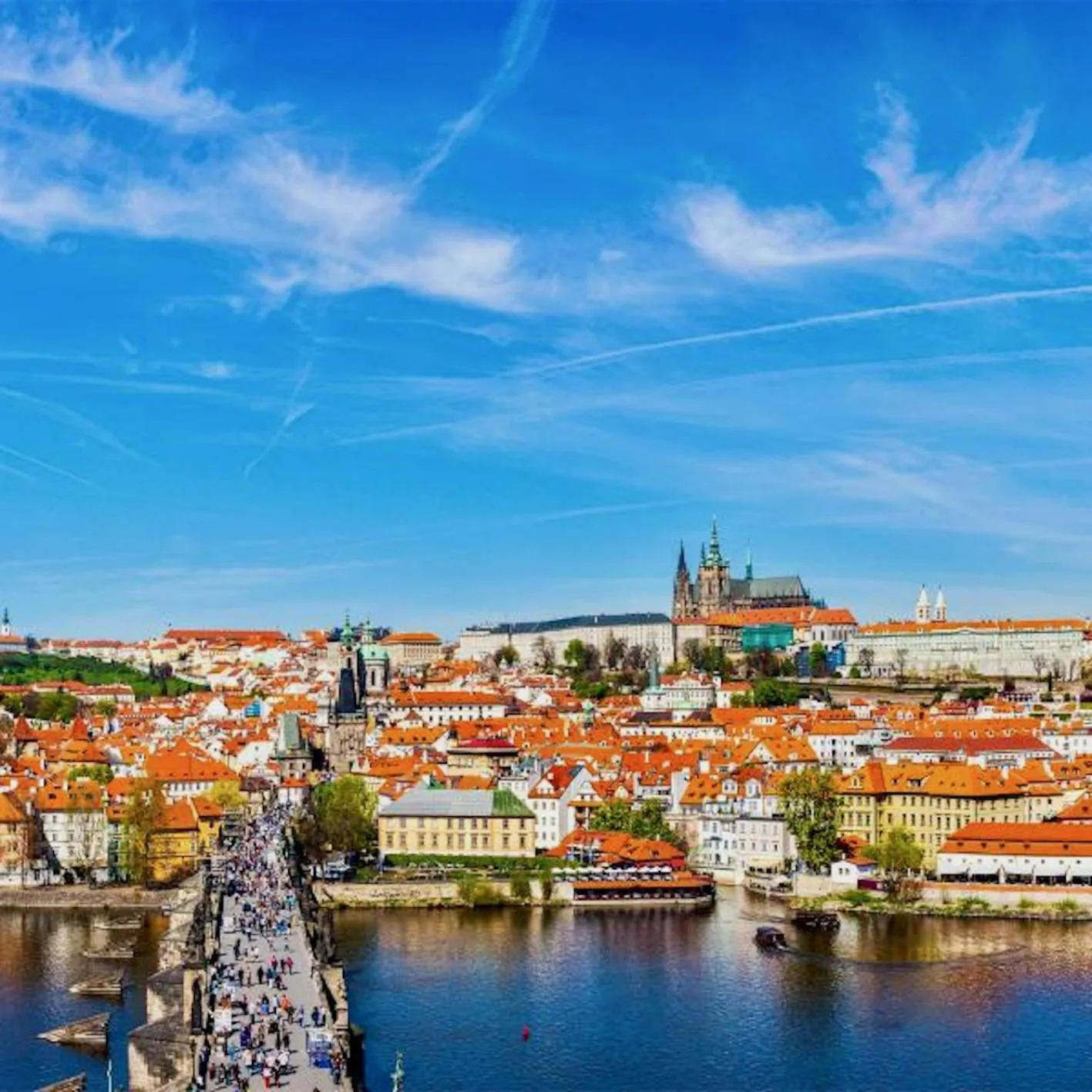 Neighbourhood in Ground Floor Apartment