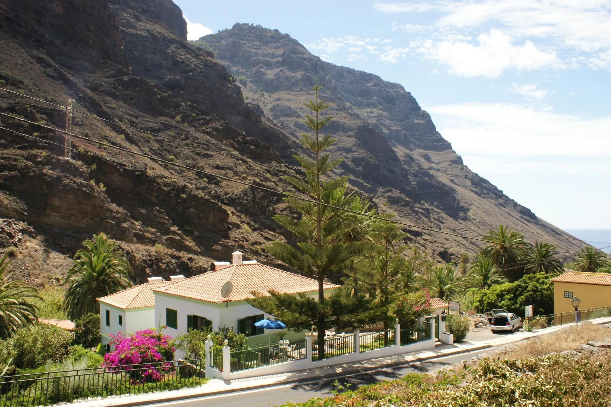 Area and facilities in Apartamentos Nelly