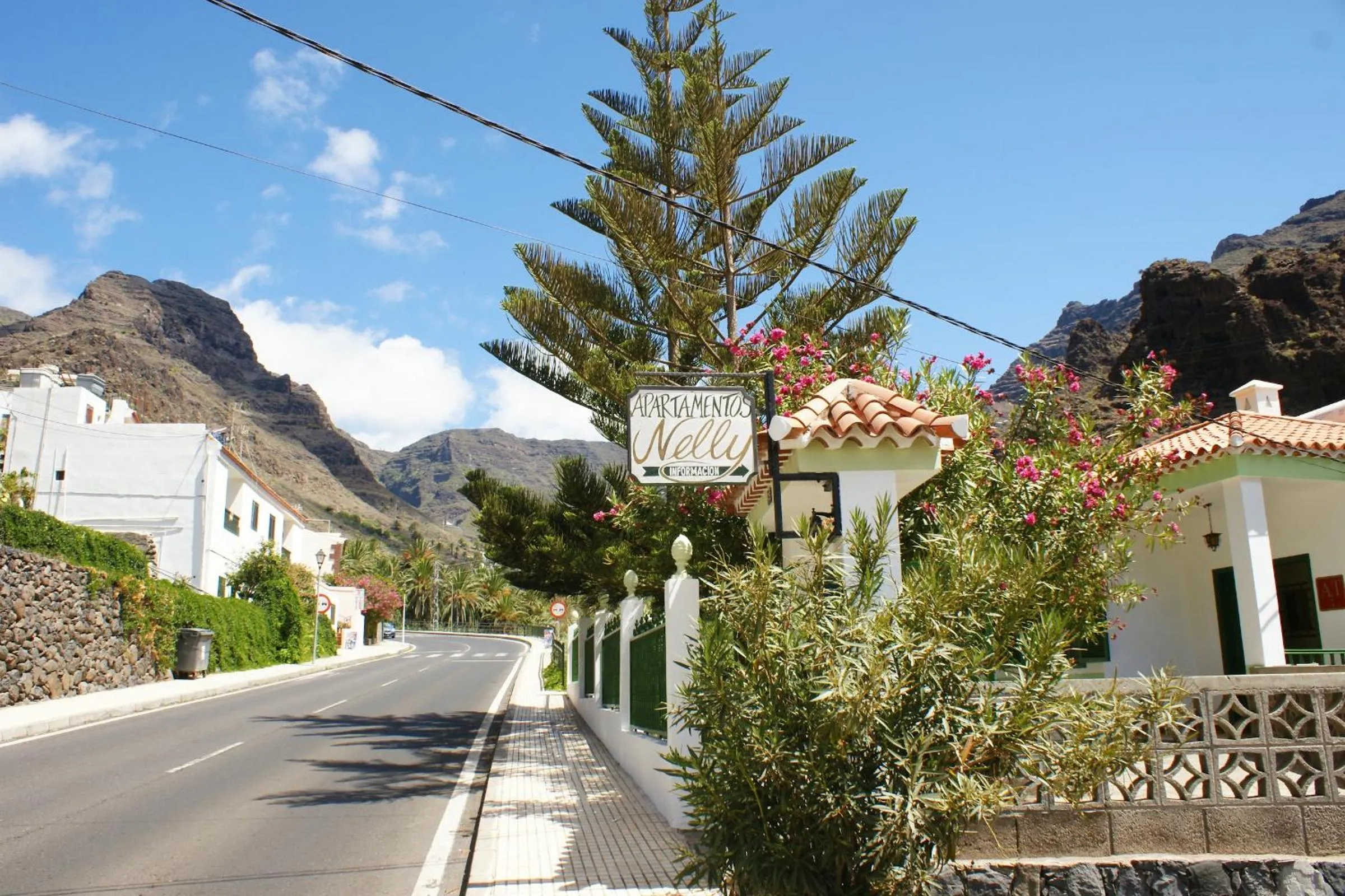 Area and facilities in Apartamentos Nelly