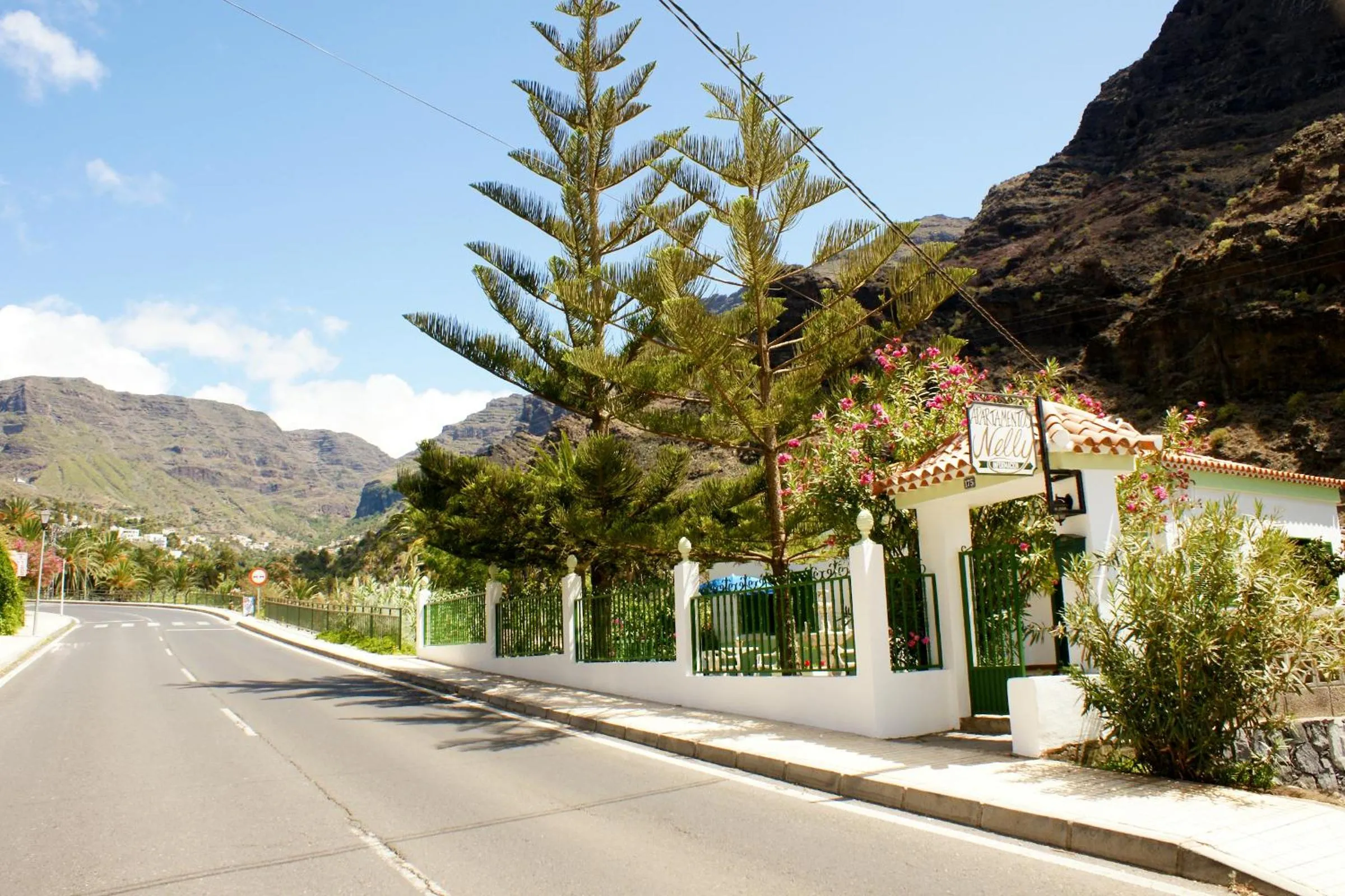Area and facilities in Apartamentos Nelly
