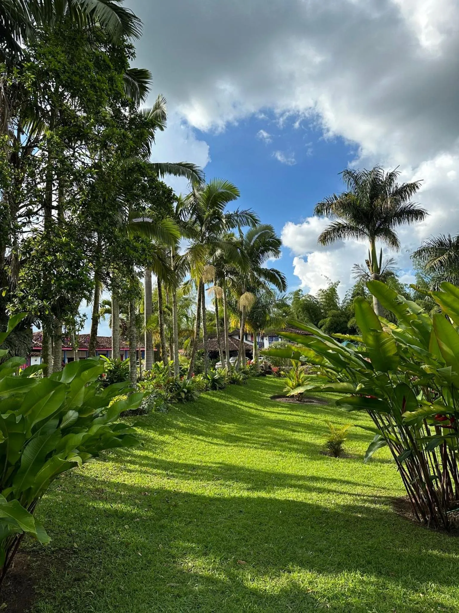 Natural landscape in El Percal Hacienda Hotel