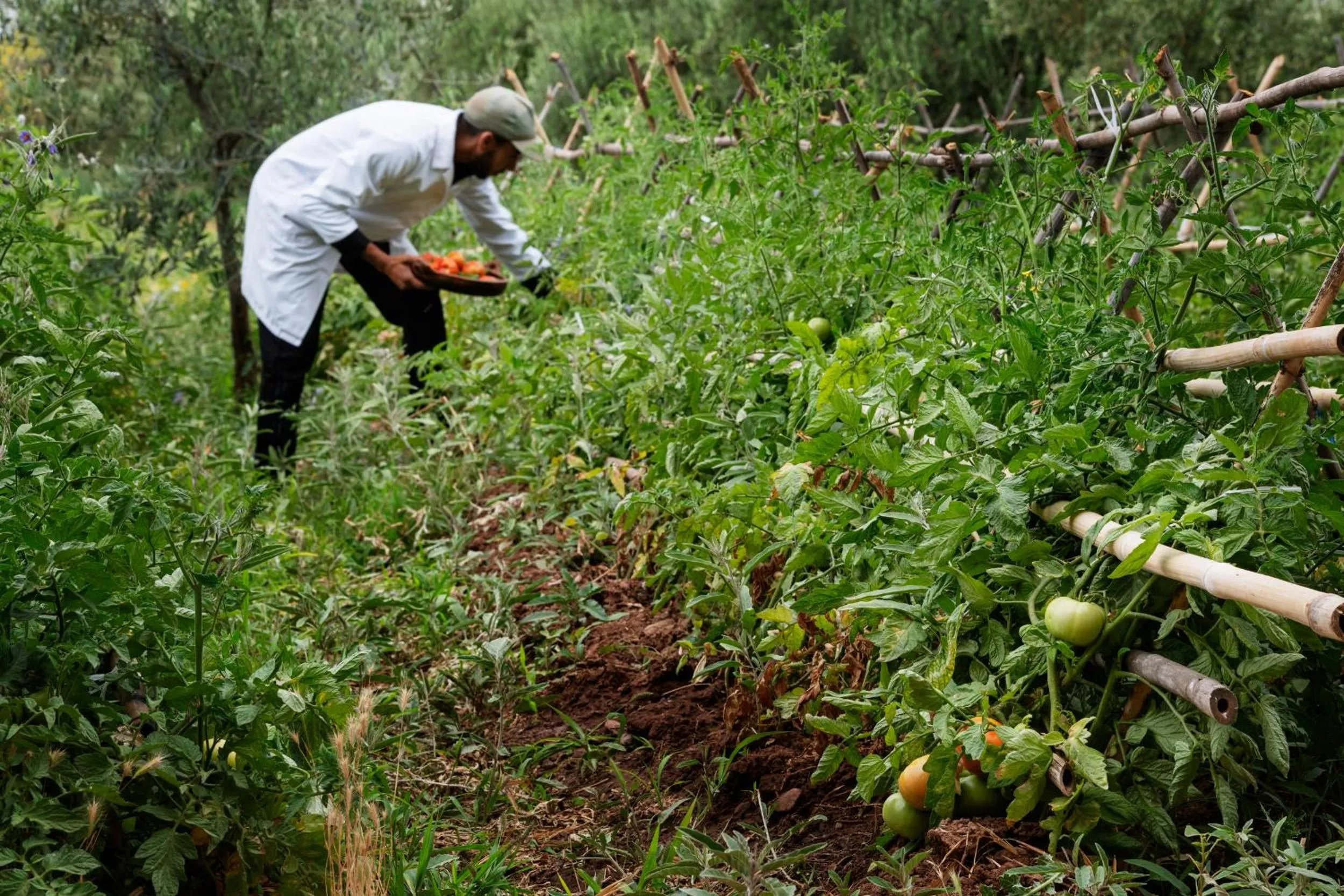 Food in Pavillon Terra Ababila en Exclusivité