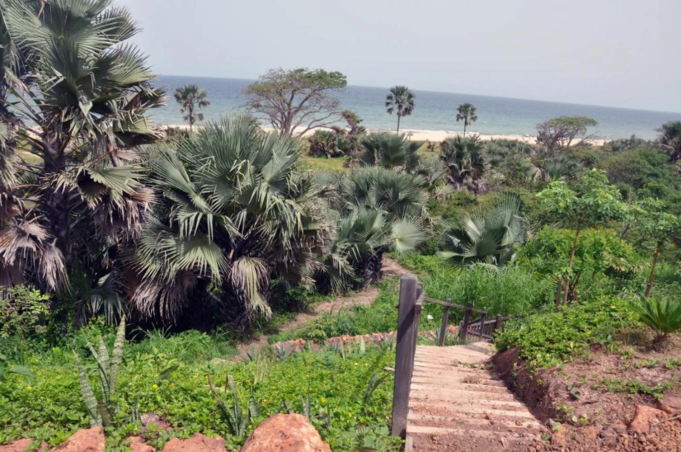 Sea view in Leo's Beach Hotel - Adults Only