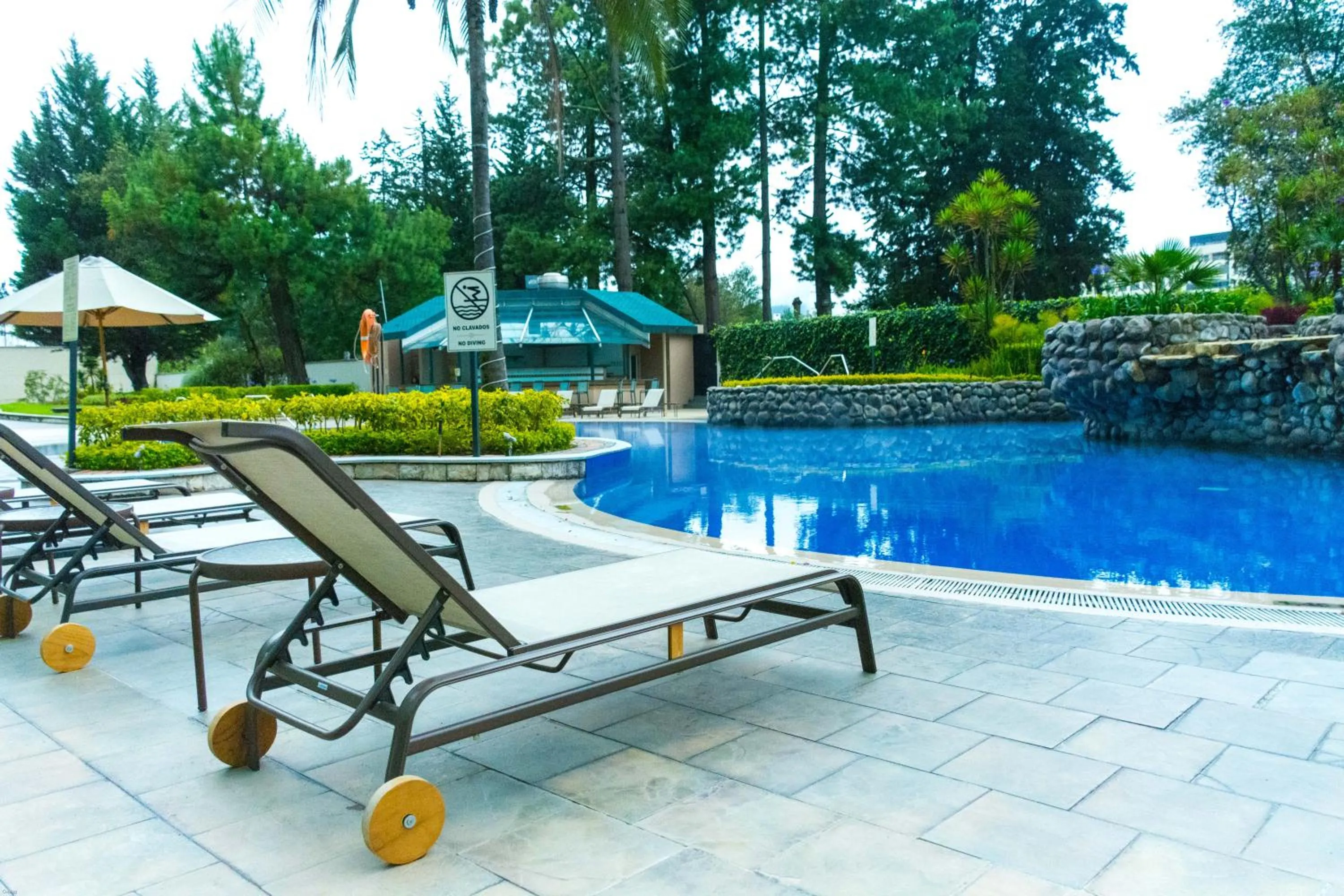 Swimming pool in Aparta Hotel Torres de Suites