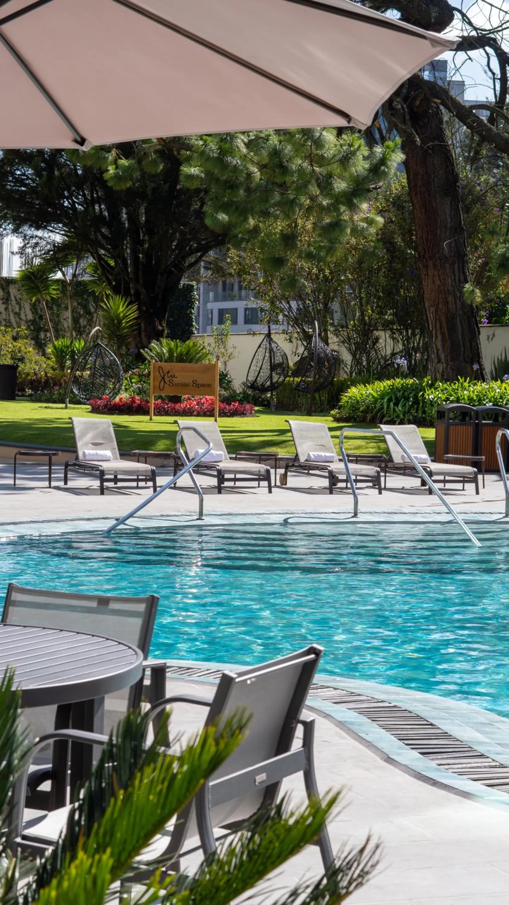 Swimming pool in Aparta Hotel Torres de Suites
