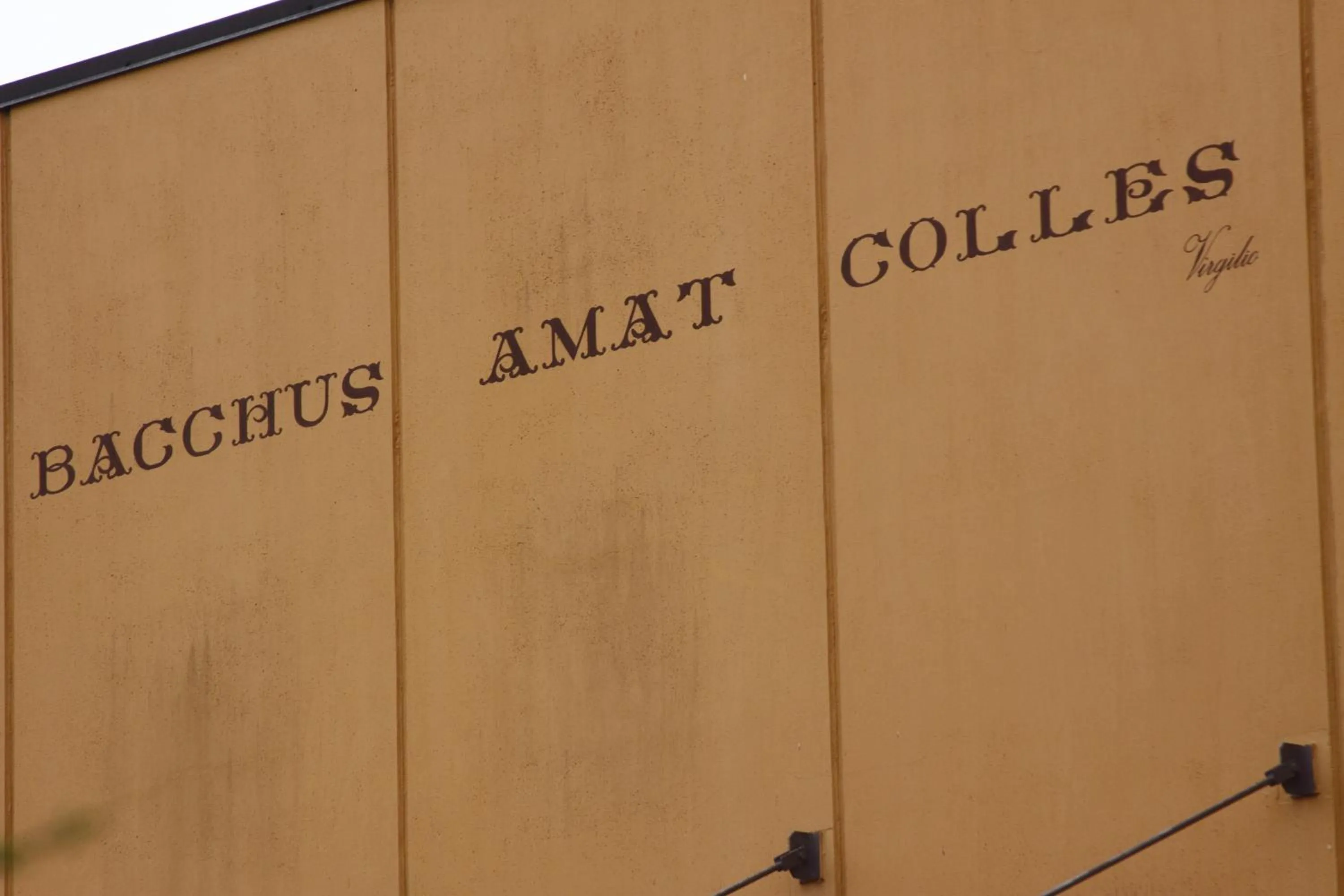 View (from property/room) in Agriturismo Gaggioli Borgo Delle Vigne