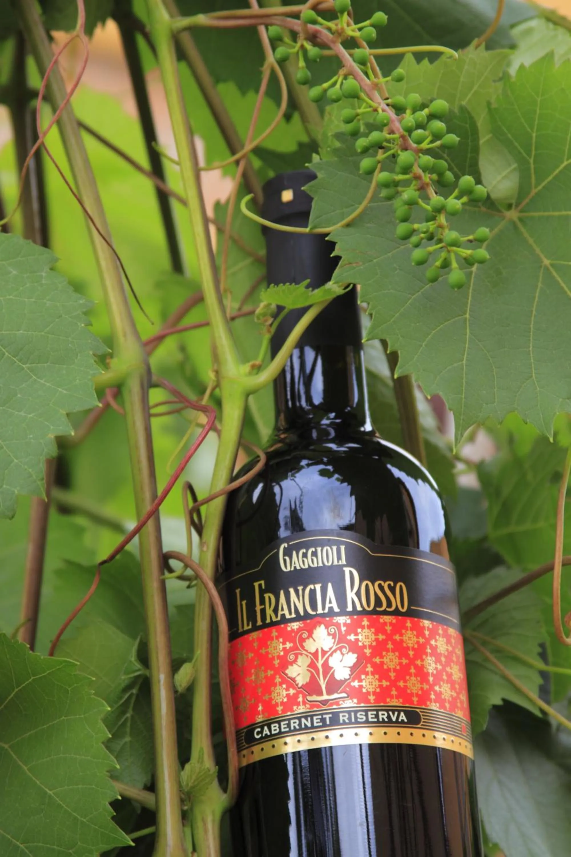 Alcoholic drinks in Agriturismo Gaggioli Borgo Delle Vigne