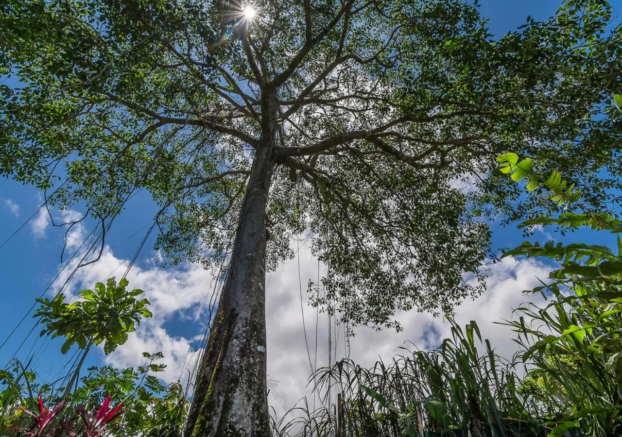 Patio in La Cusinga Lodge
