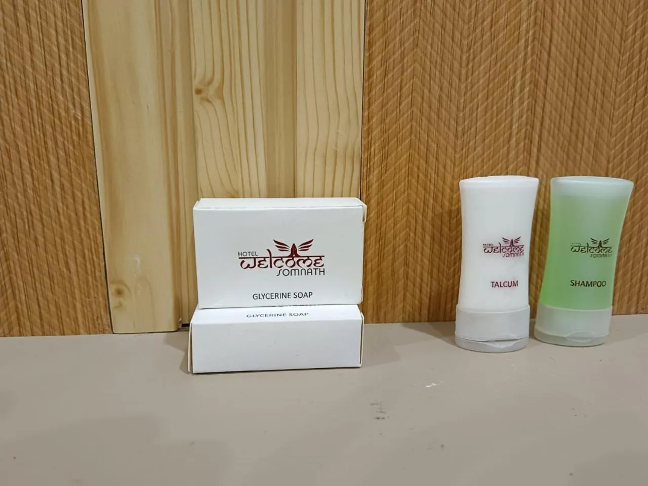 BBQ facilities in Hotel welcome somnath