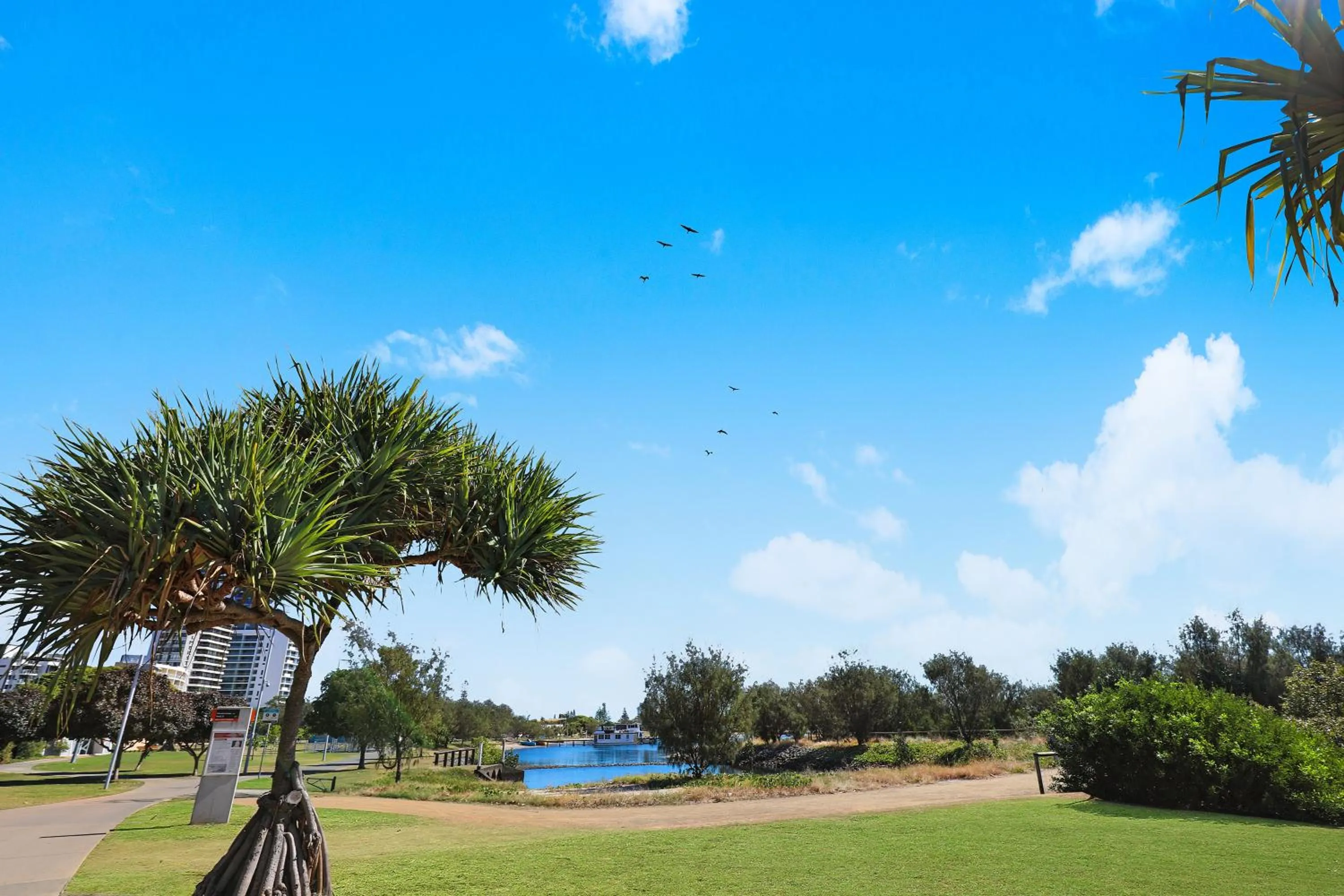 Natural landscape in Palmerston Tower on Southport Broadwater