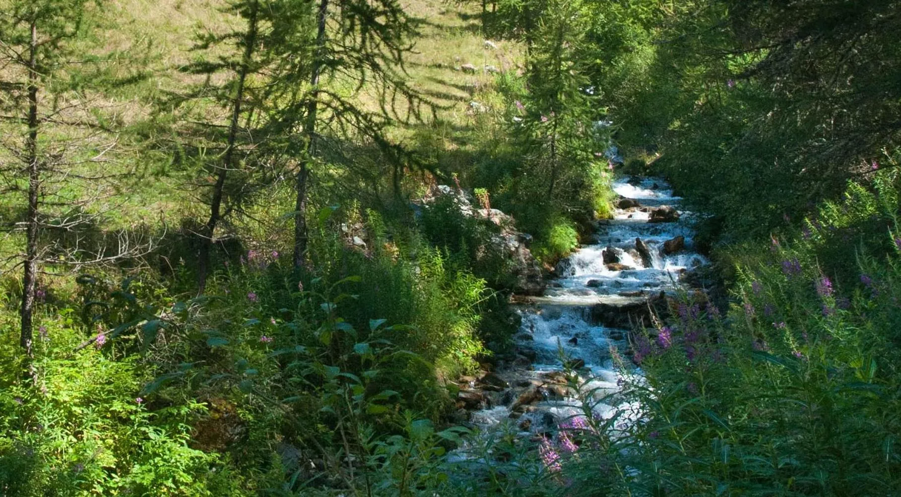 Natural landscape in Maison Cly