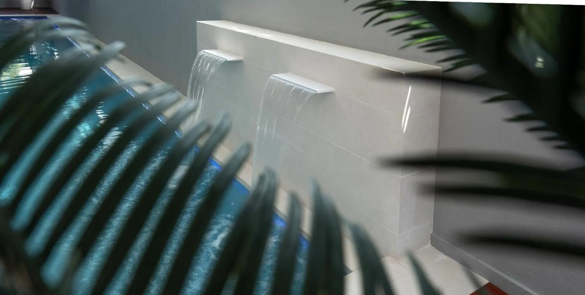 Area and facilities in Hotel Continental