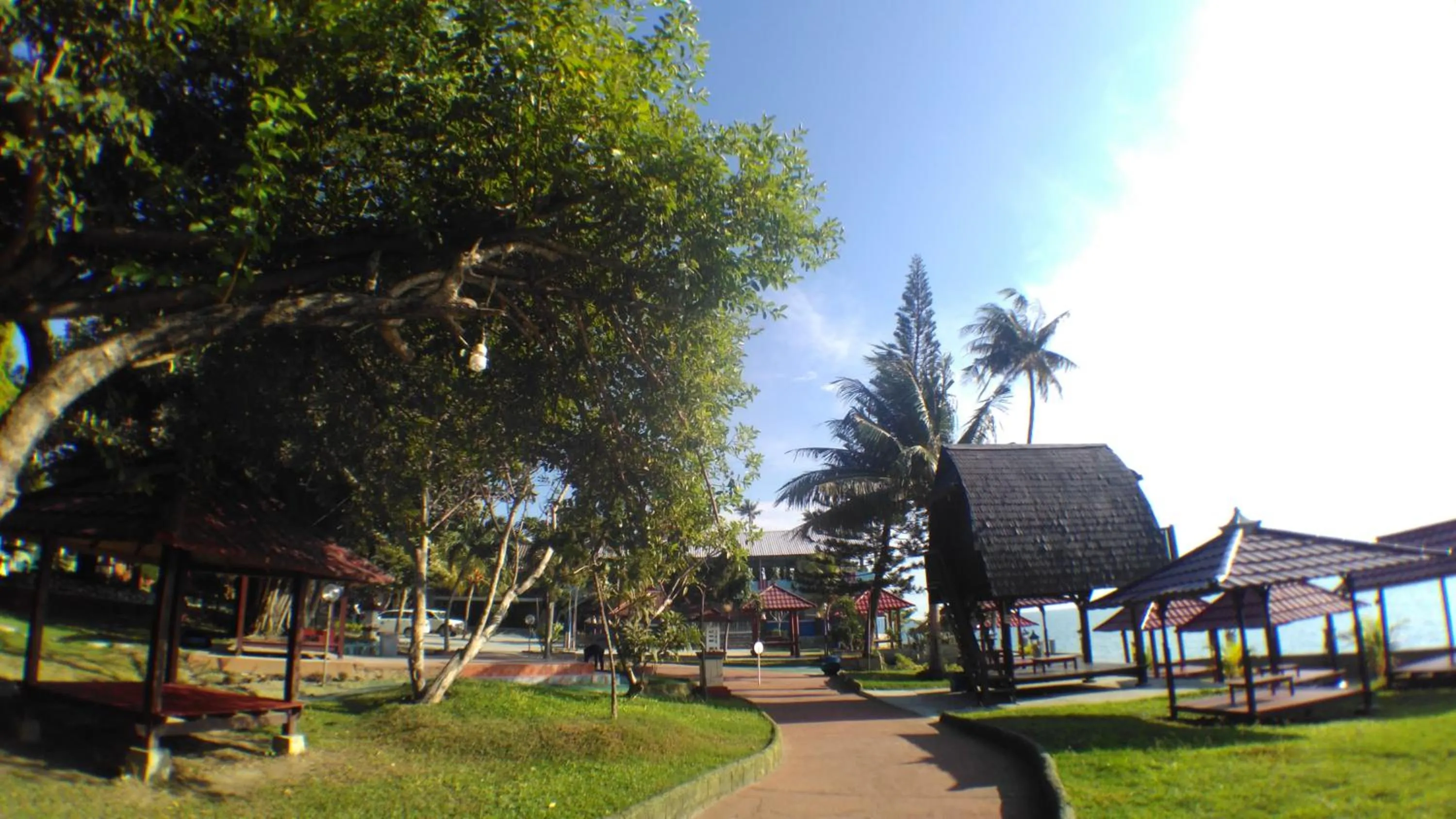 Garden view in Amazing Beach Resort Palu