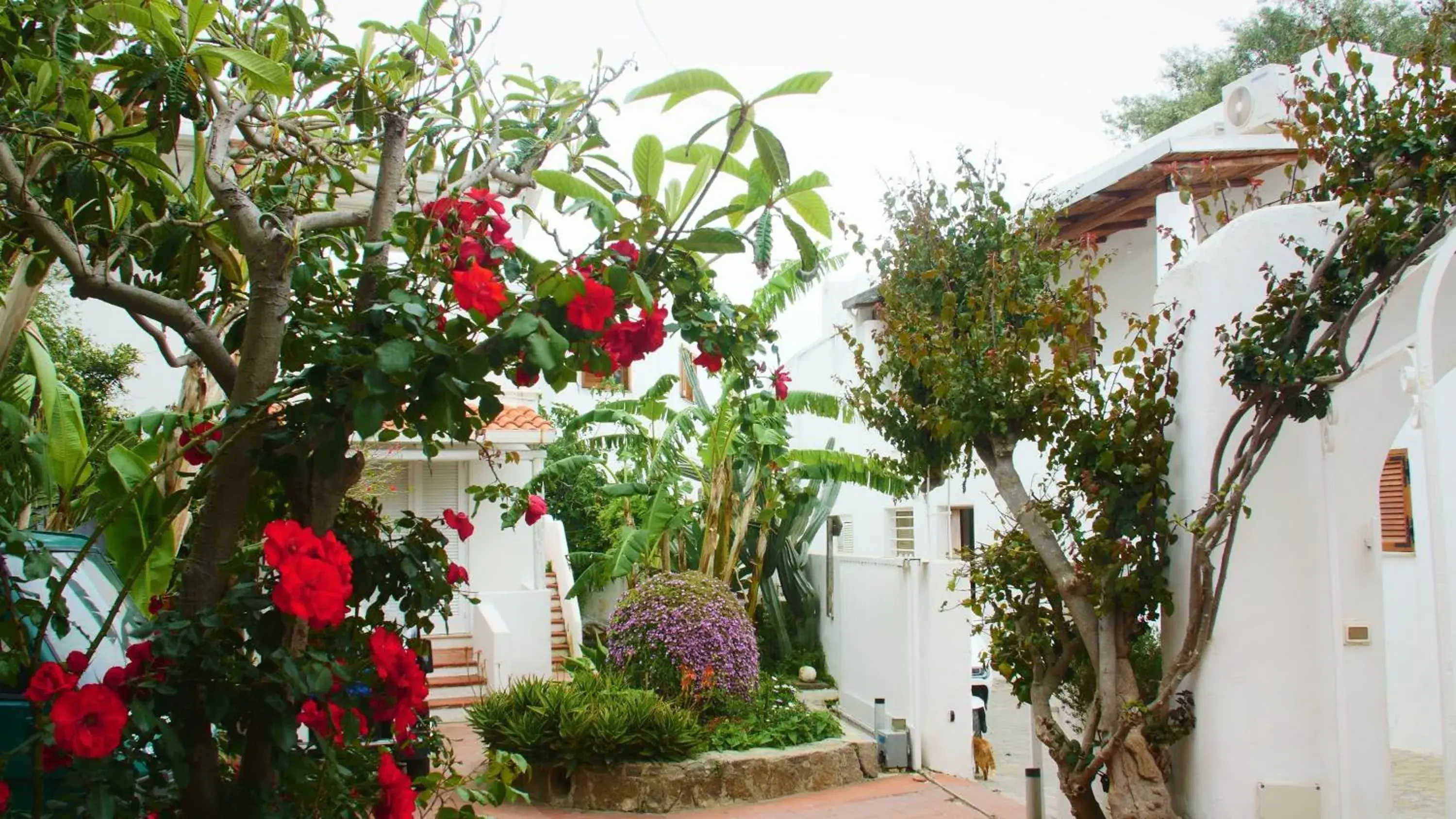 Property Building in Hotel La Piazza