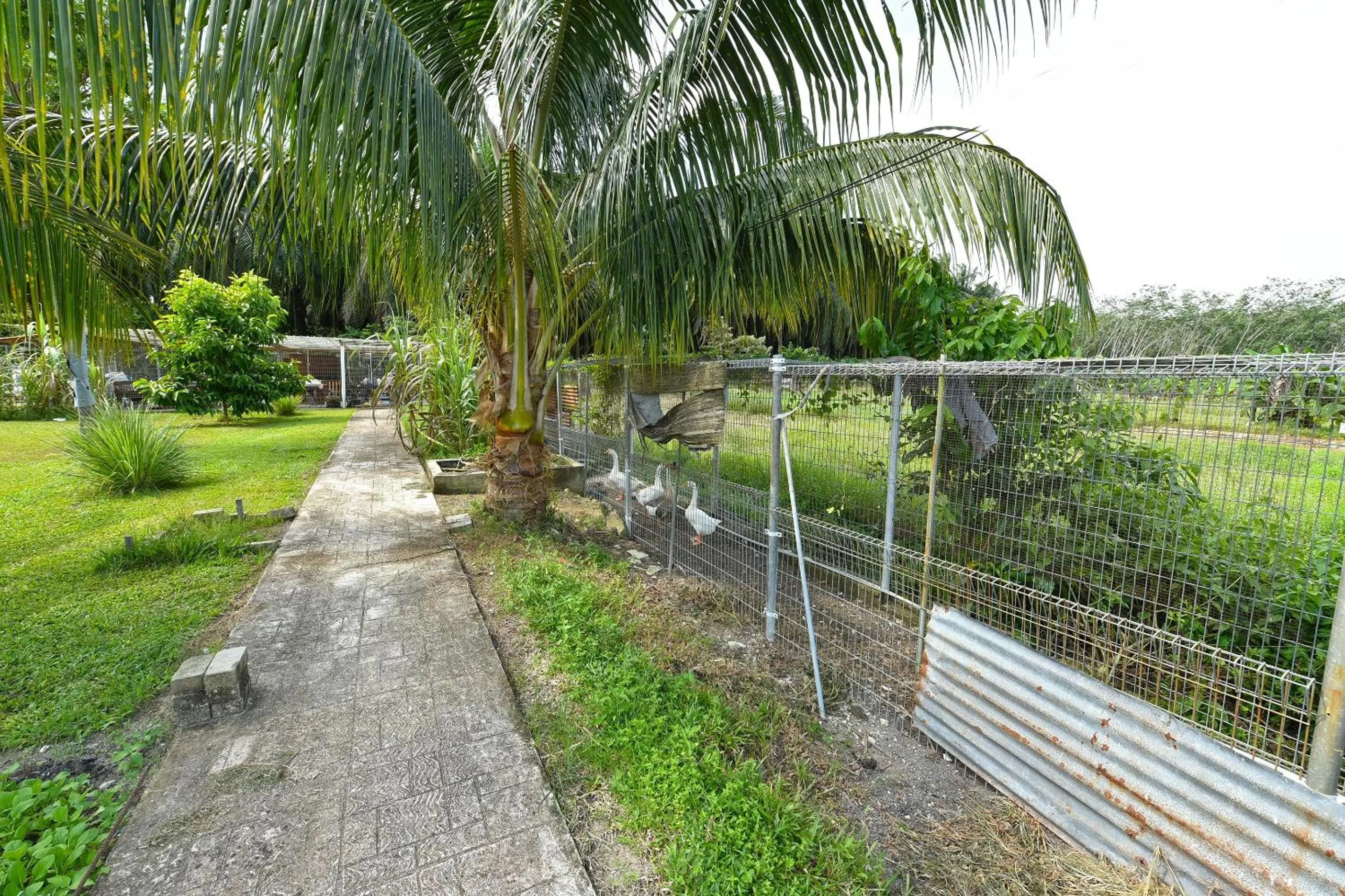 Lobby or reception in Hotel O My Daddy Farm Chalet