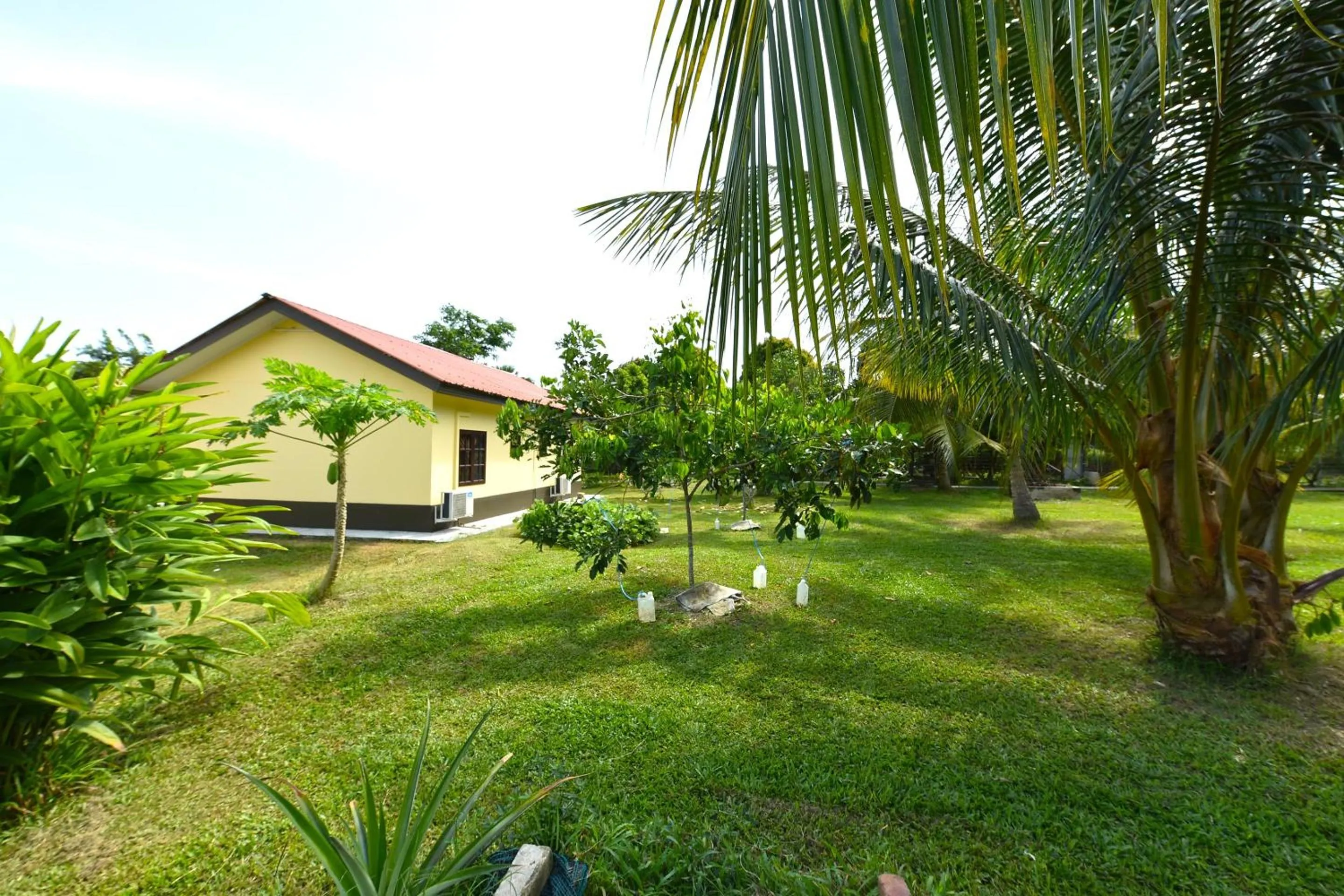 Lobby or reception in Hotel O My Daddy Farm Chalet