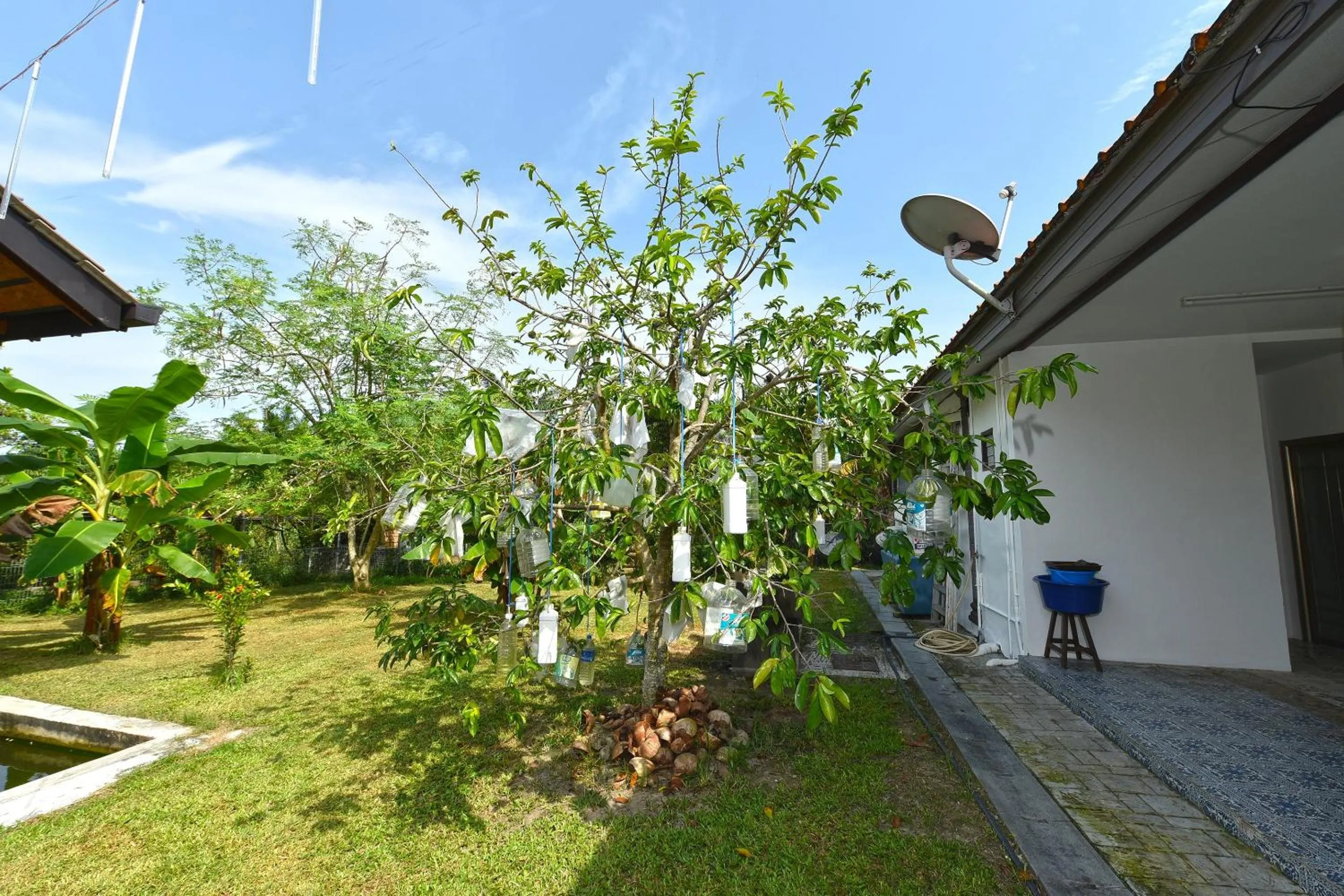 Lobby or reception in Hotel O My Daddy Farm Chalet
