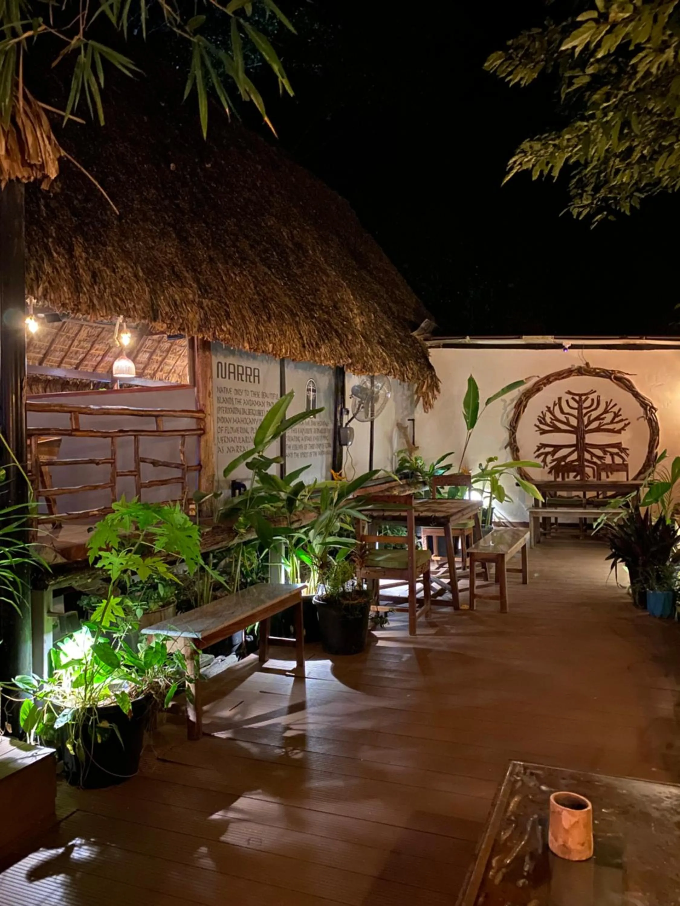 Restaurant/places to eat in Wild Orchid