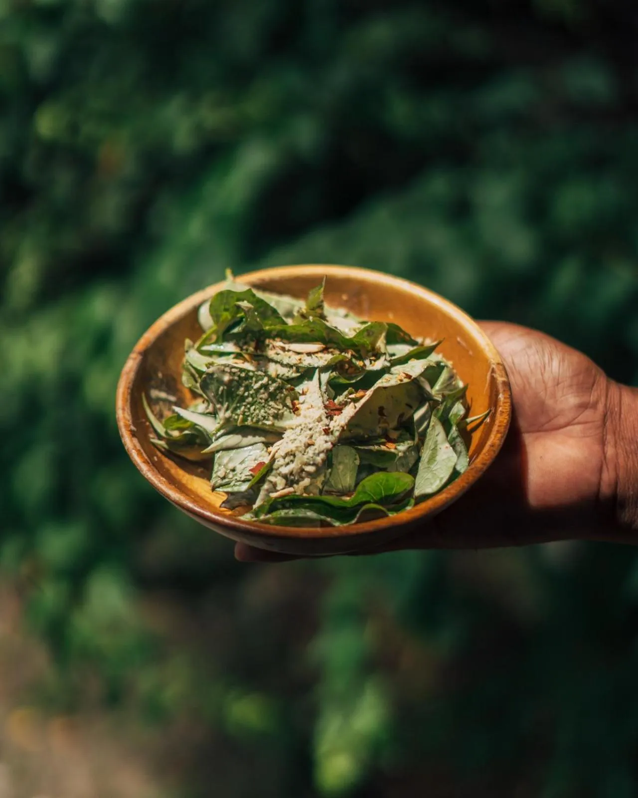 Restaurant/places to eat in Wild Orchid