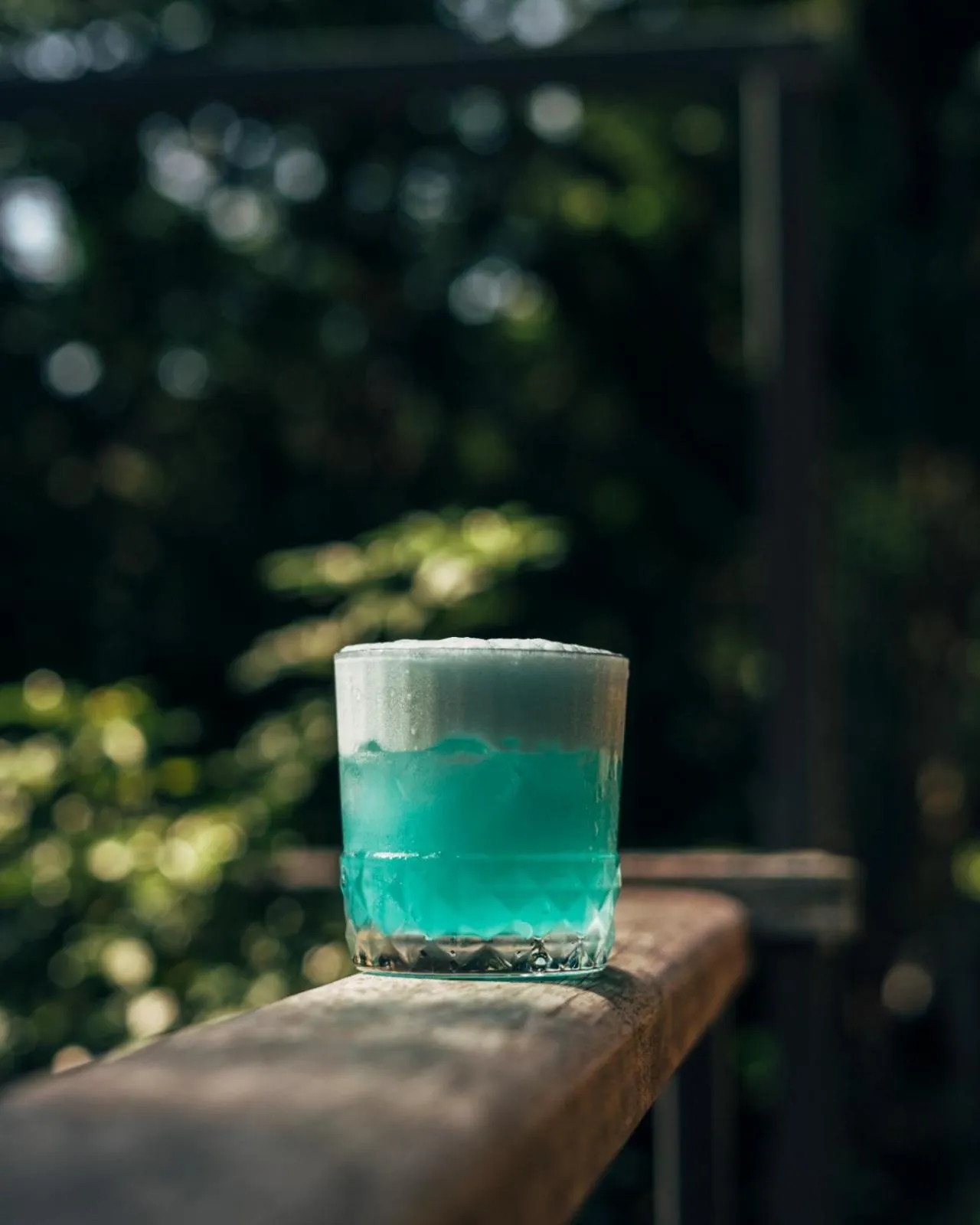 Restaurant/places to eat in Wild Orchid