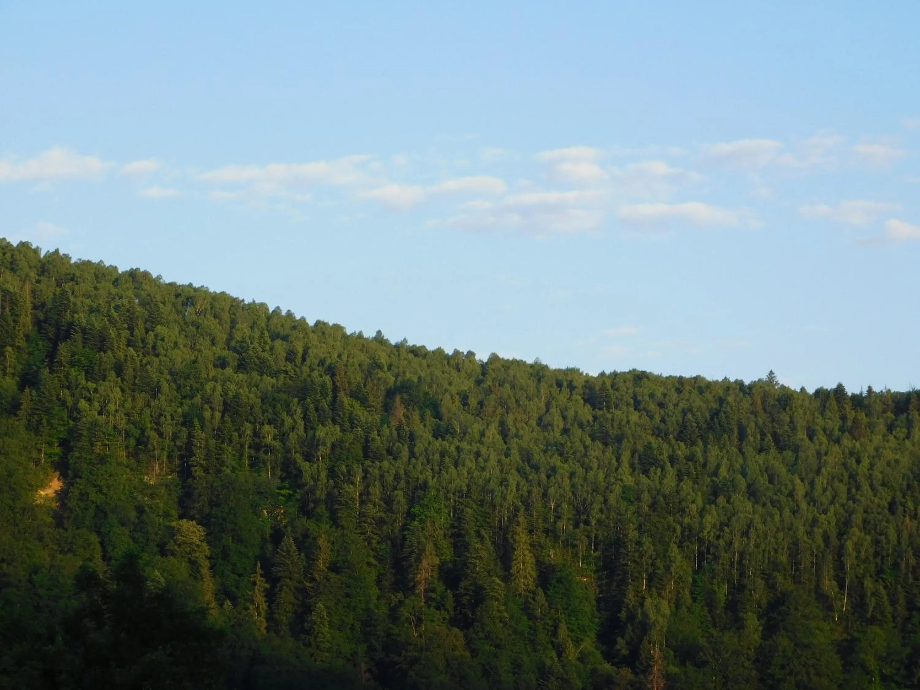 Mountain view in Glanz