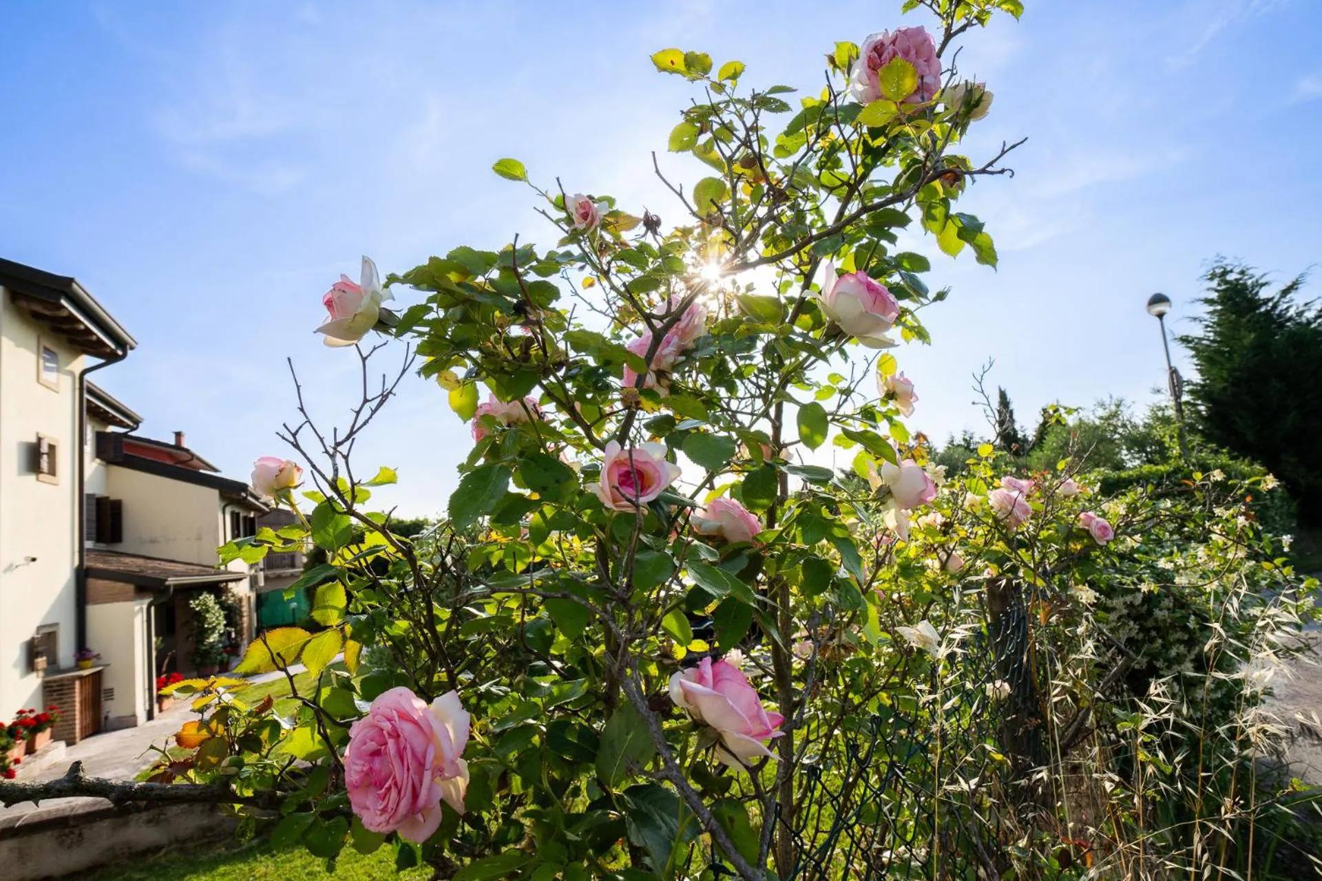 Garden view in Agriturismo Al Tralcio
