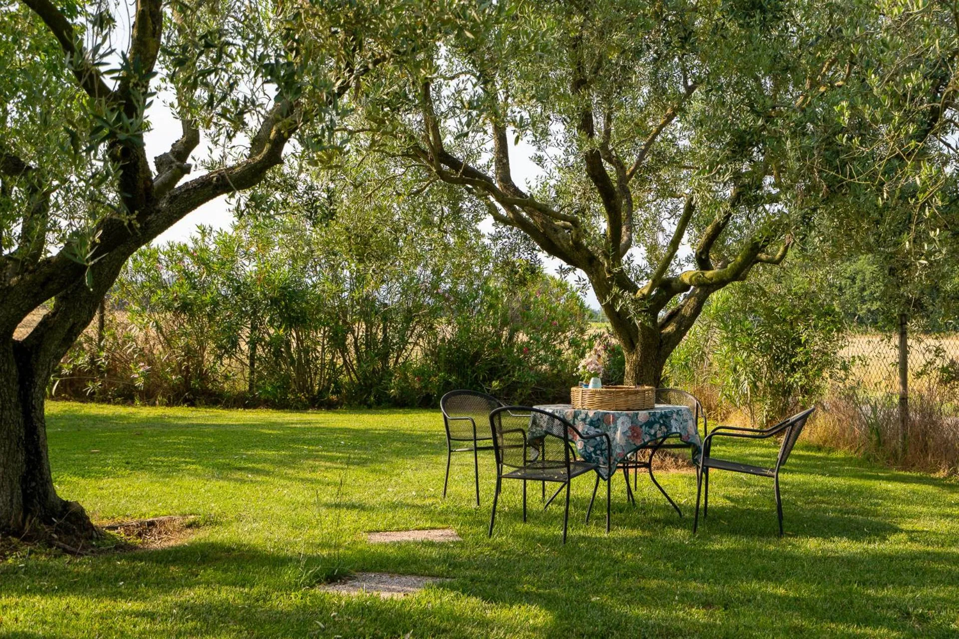 Garden in Agriturismo Al Tralcio