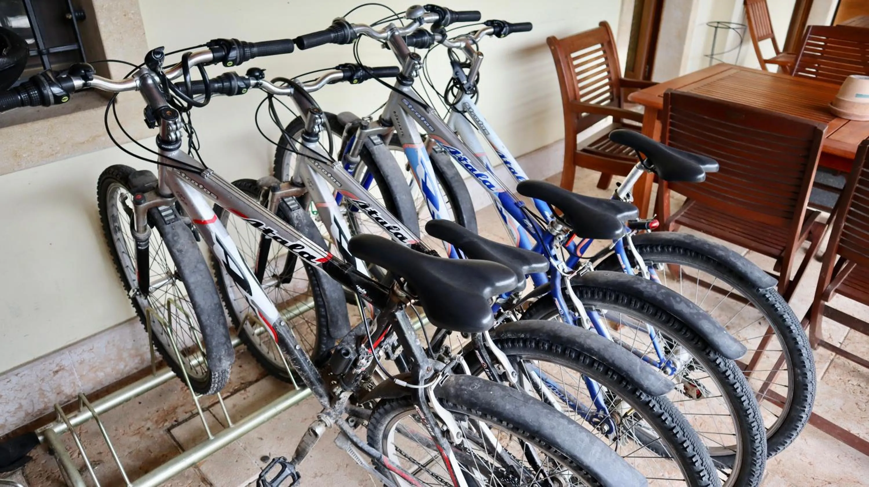 Cycling in Agriturismo Al Tralcio