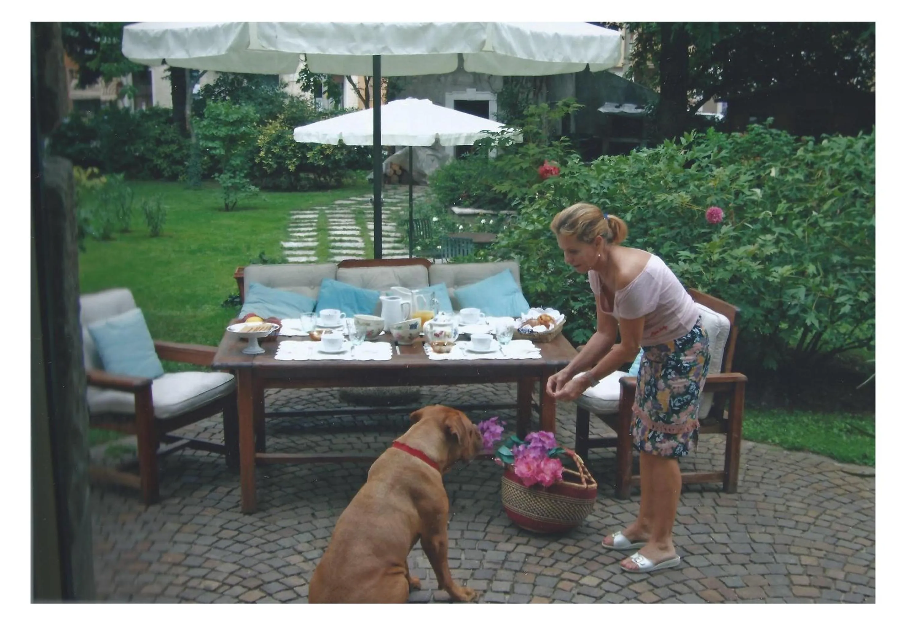 Garden view in Villa V