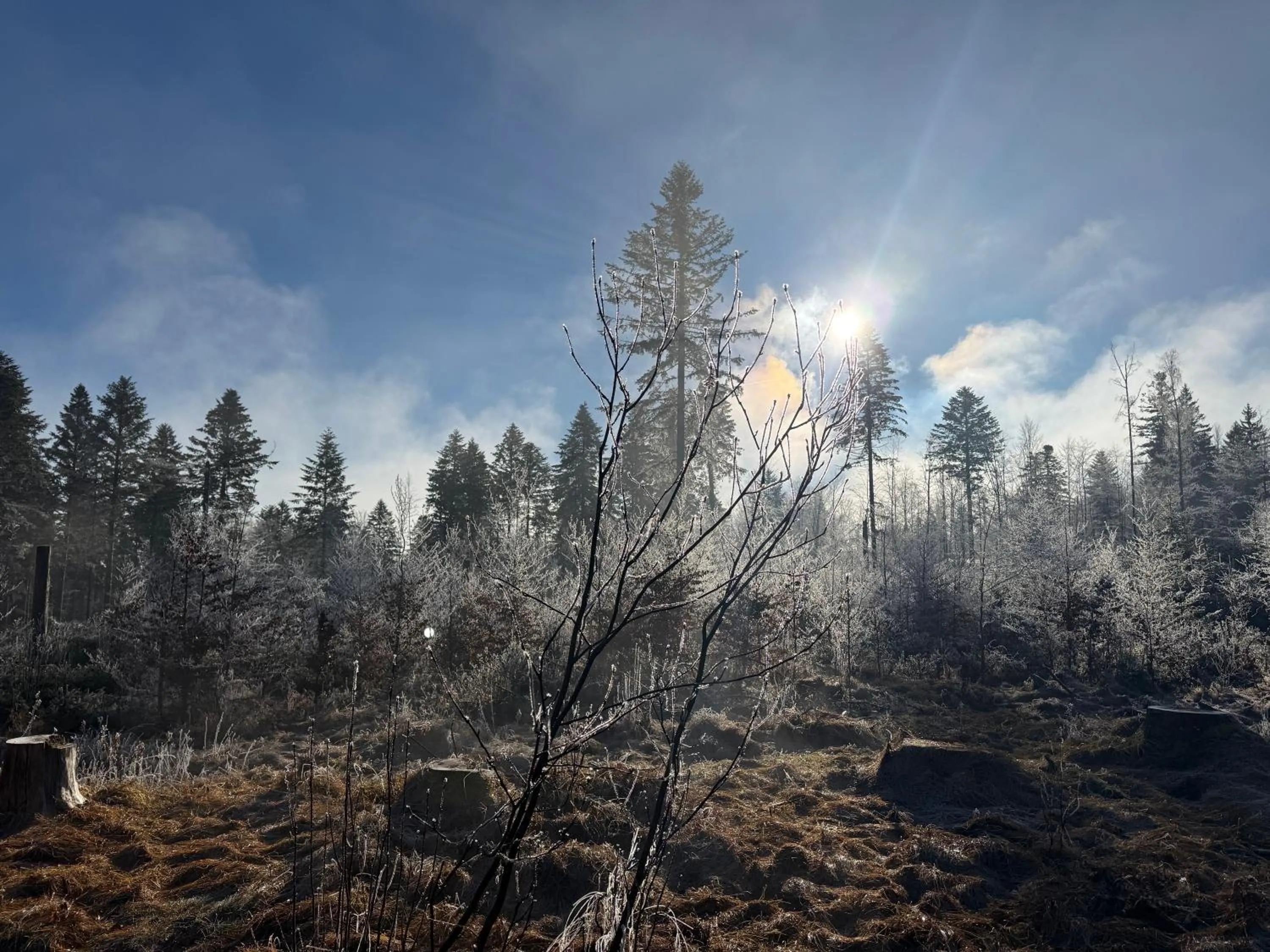 Natural landscape in Maiers Hotel