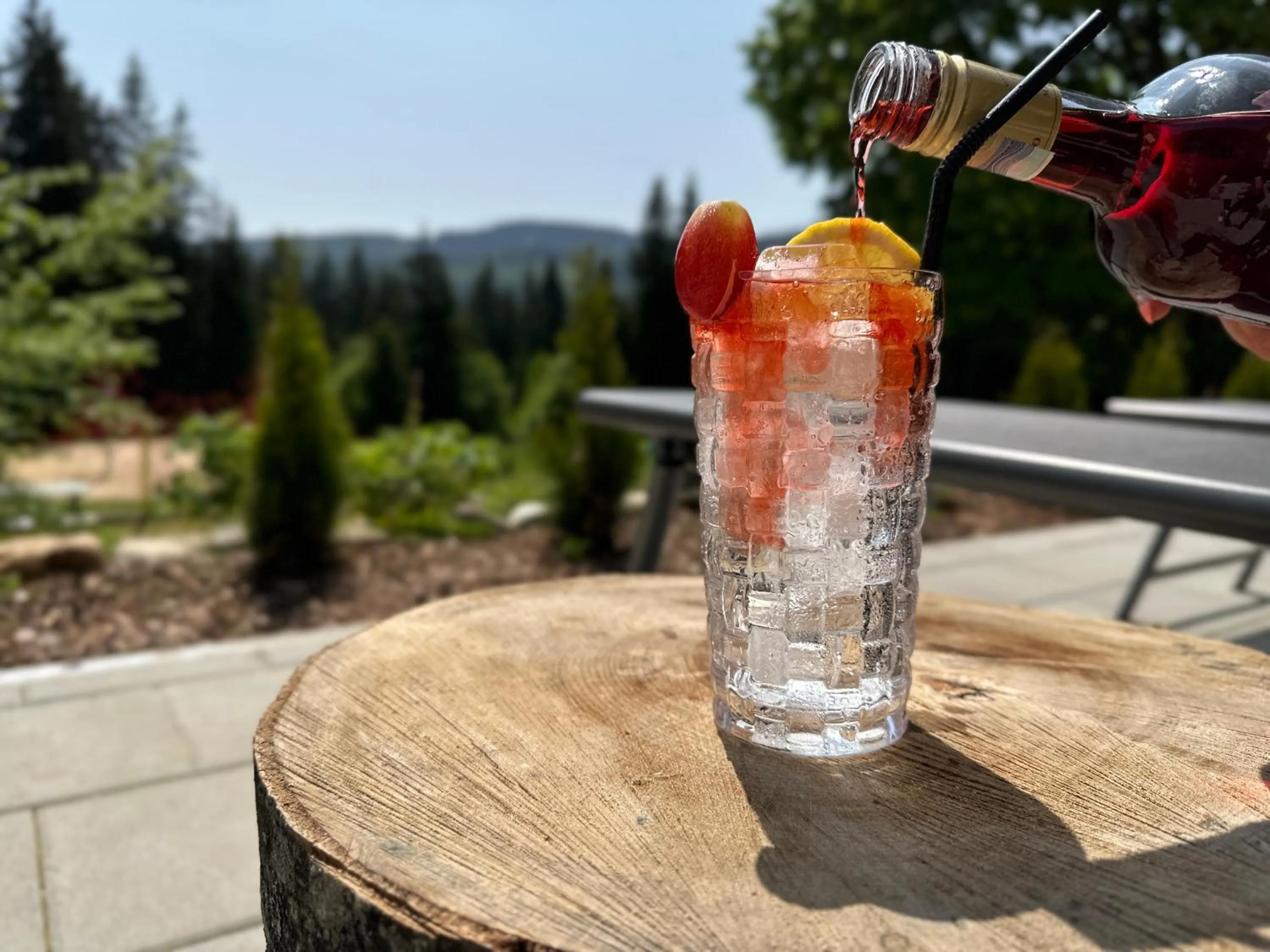 Balcony/Terrace in Maiers Hotel