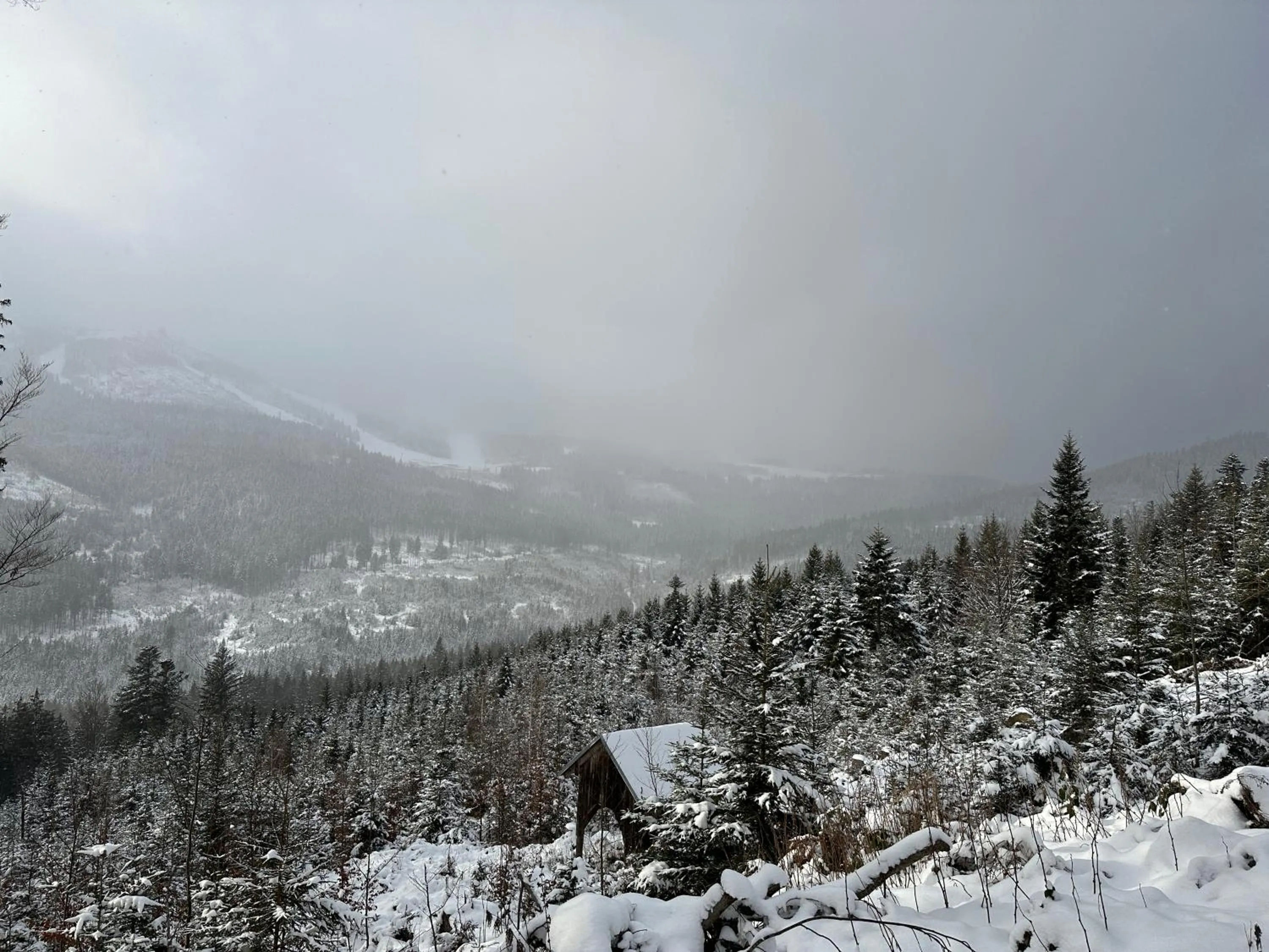 Natural landscape in Maiers Hotel