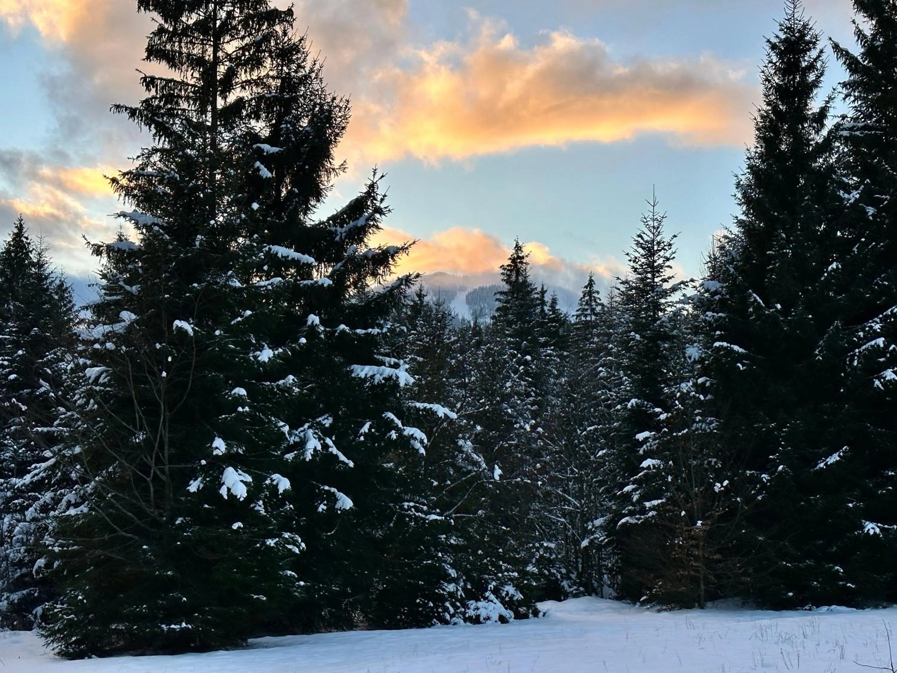 Nearby landmark in Maiers Hotel