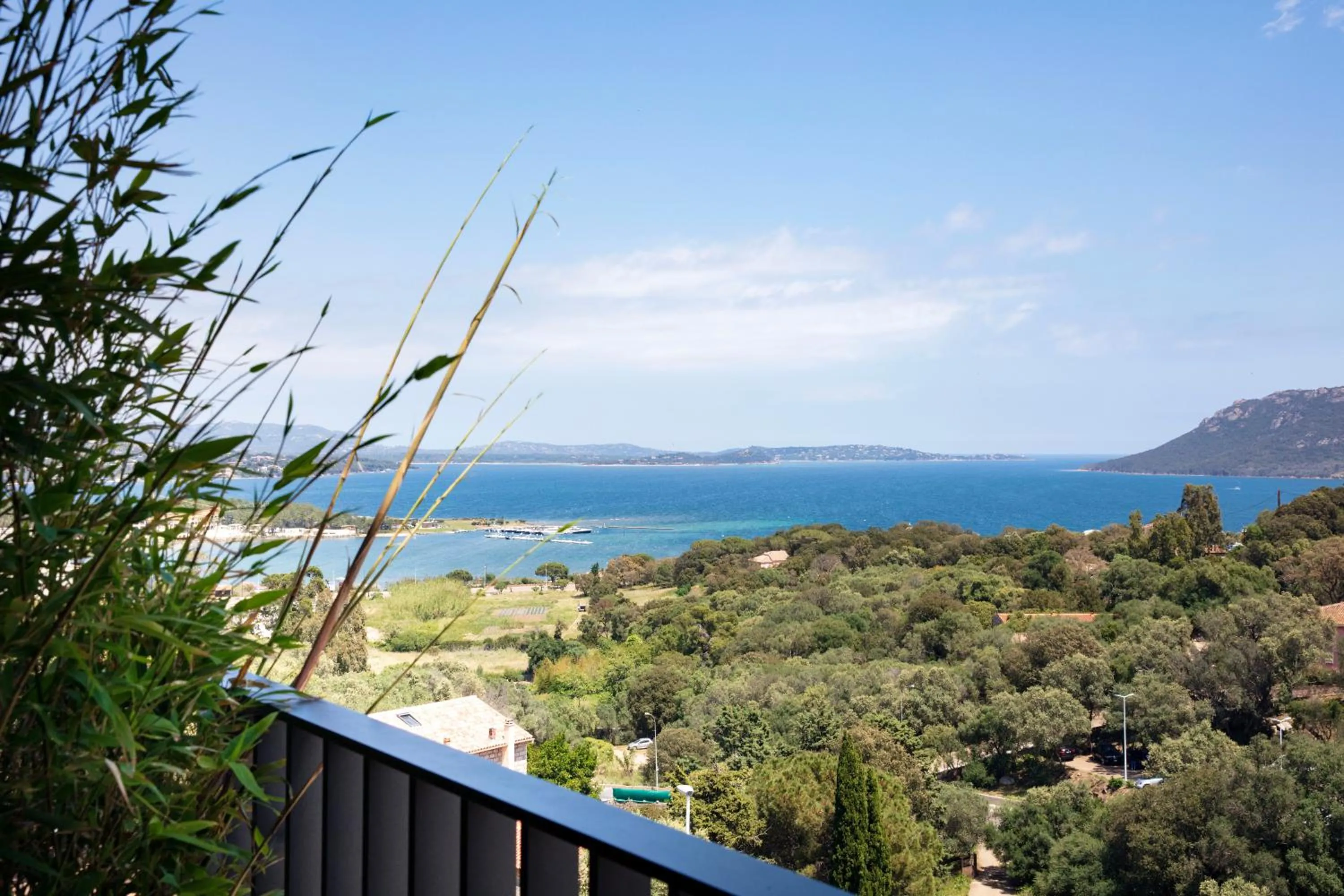 Balcony/Terrace in Hotel Alcyon