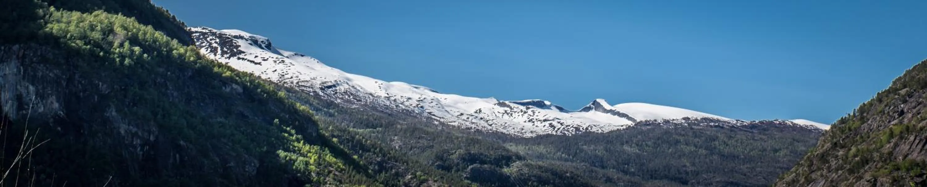 Natural landscape in Gaupnetunet Hotell og Hytter
