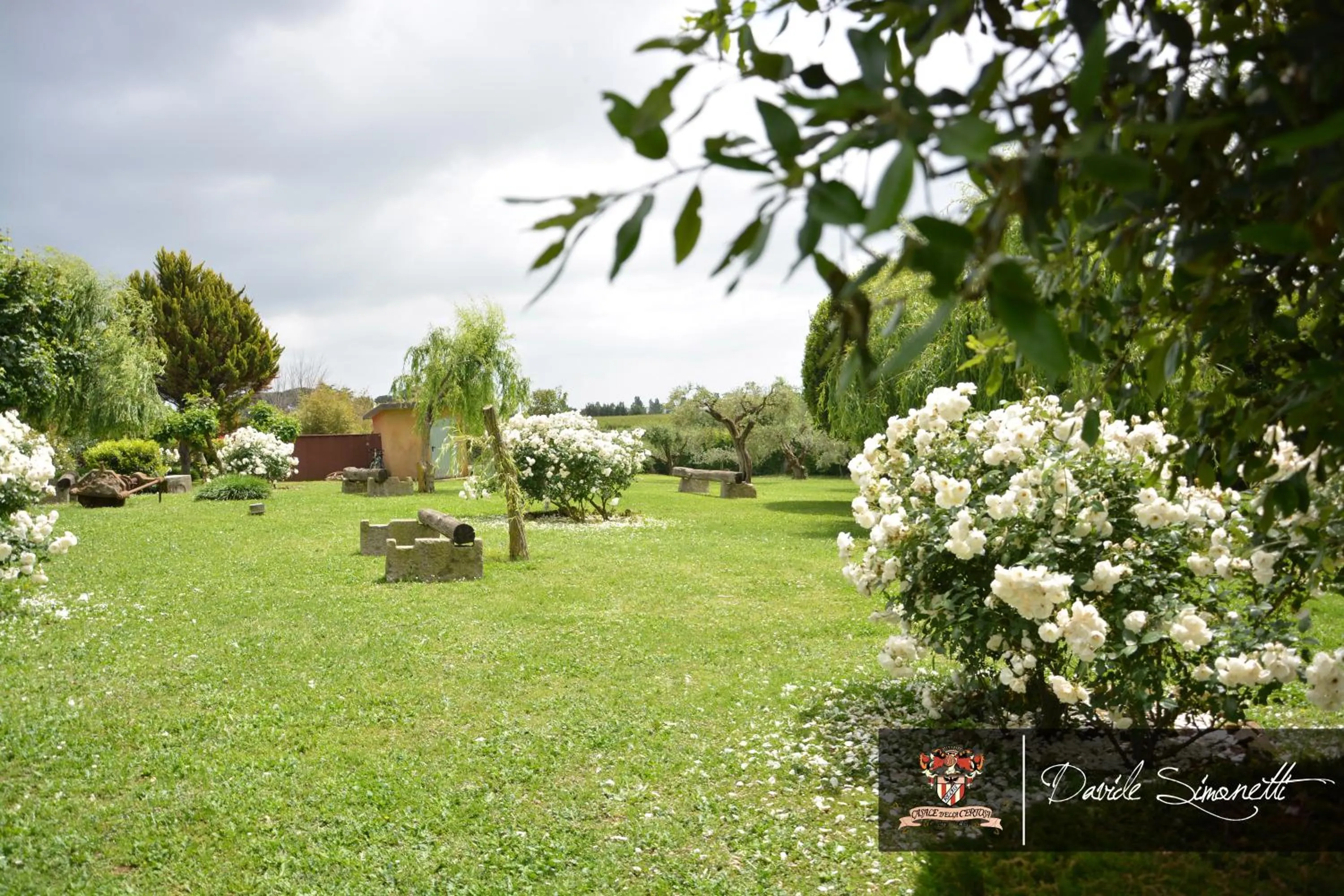 Garden in Casale Certosa